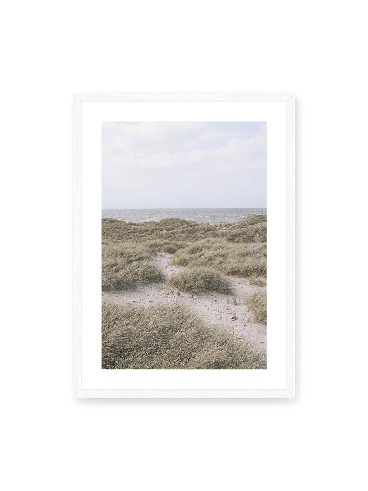 50x70 cm, weißer Galerie-Rand, weißer Rahmen – Helles Dünengras und sandige Pfade vor einem ruhigen Meer unter blassem, wolkigem Himmel.