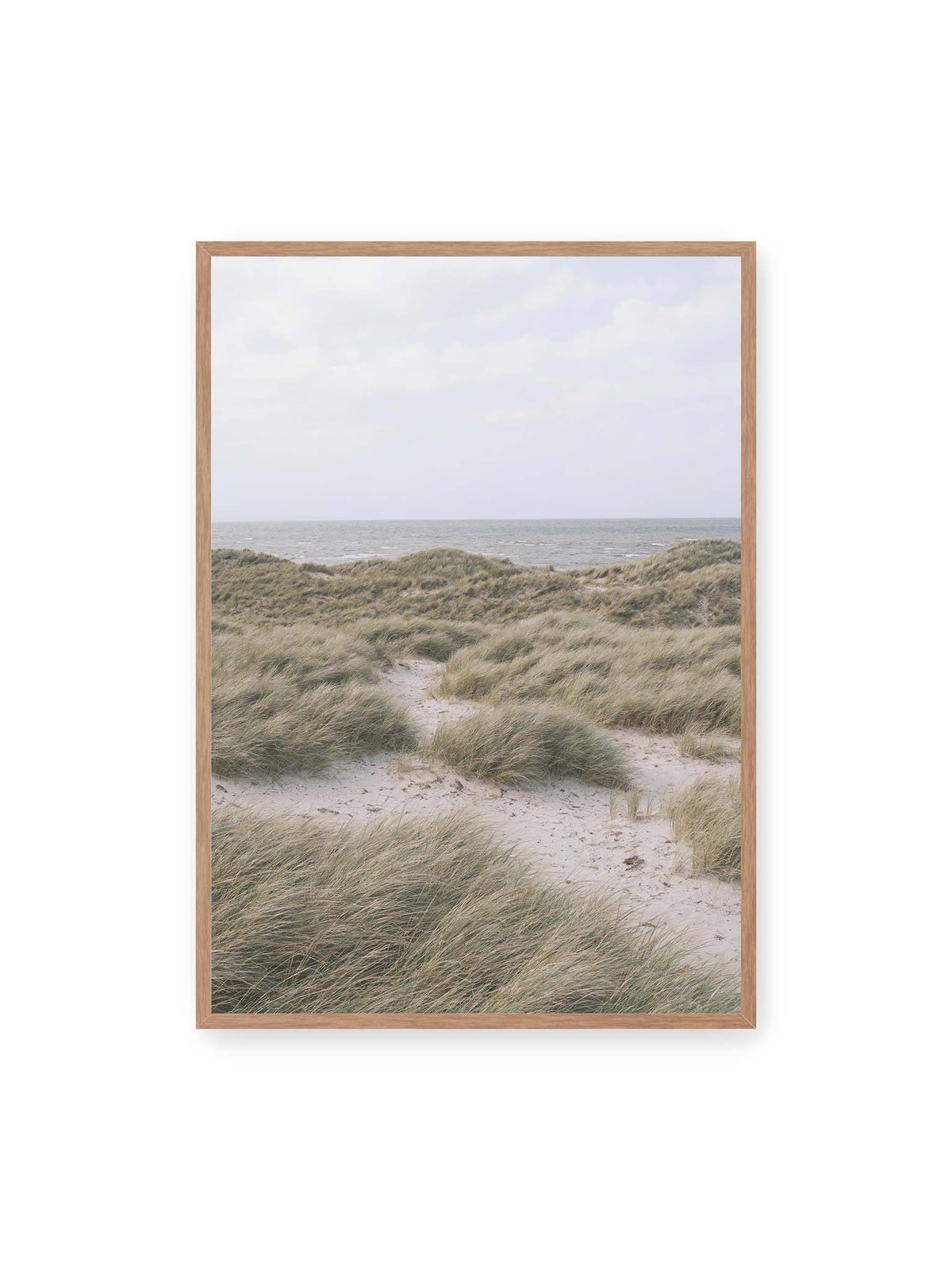 70x100 cm, Eichenrahmen – Helles Dünengras und sandige Pfade vor einem ruhigen Meer unter blassem, wolkigem Himmel.