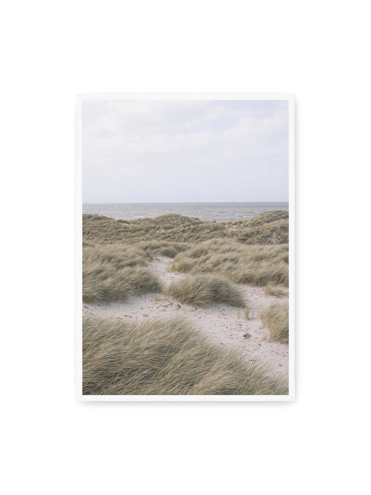 70x100 cm, weißer Rahmen – Helles Dünengras und sandige Pfade vor einem ruhigen Meer unter blassem, wolkigem Himmel.