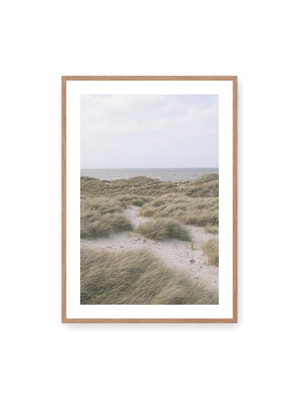 70x100 cm, weißer Galerie-Rand, Eichenrahmen – Helles Dünengras und sandige Pfade vor einem ruhigen Meer unter blassem, wolkigem Himmel.