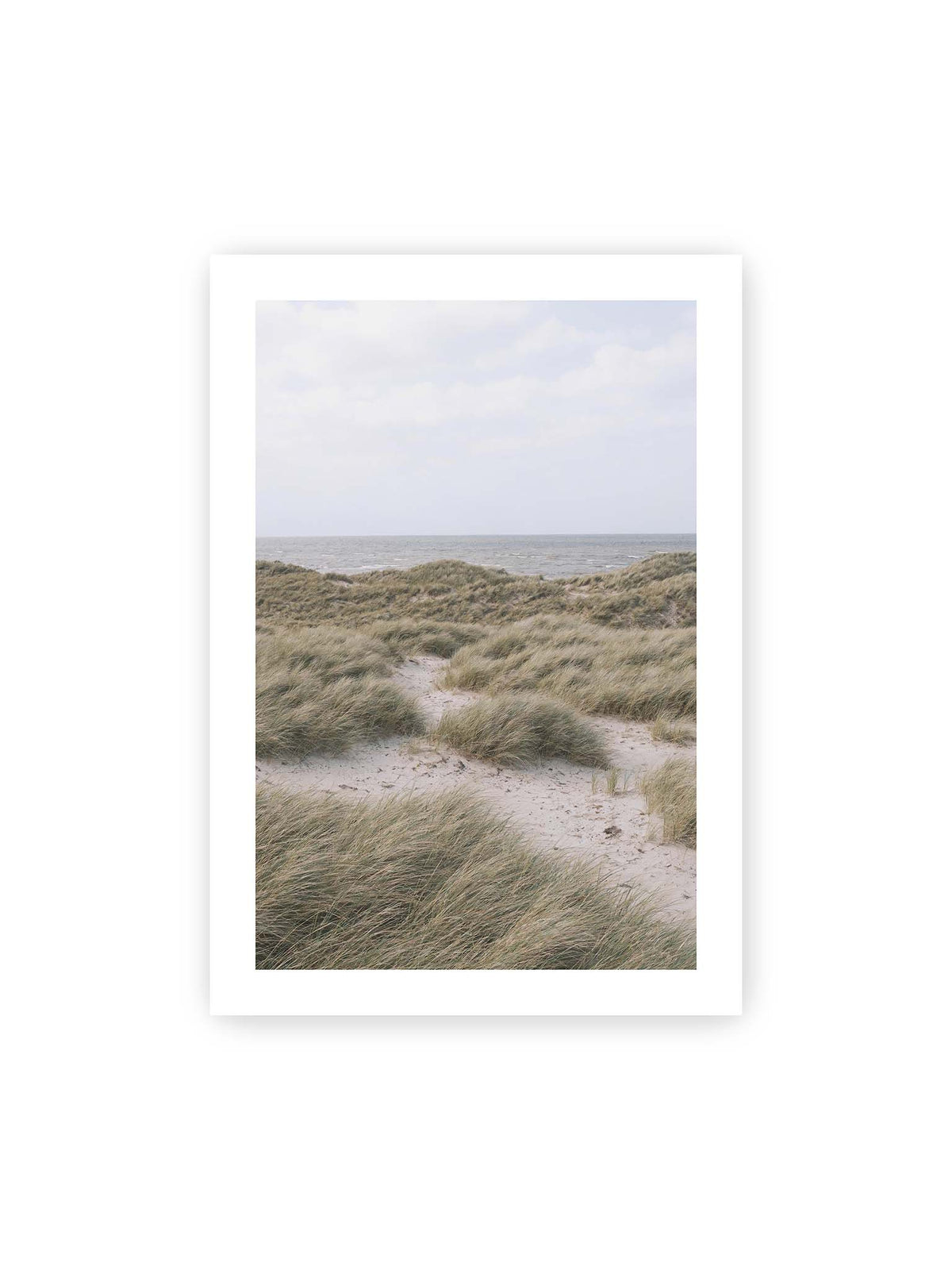 70x100 cm, weißer Galerie-Rand – Helles Dünengras und sandige Pfade vor einem ruhigen Meer unter blassem, wolkigem Himmel.