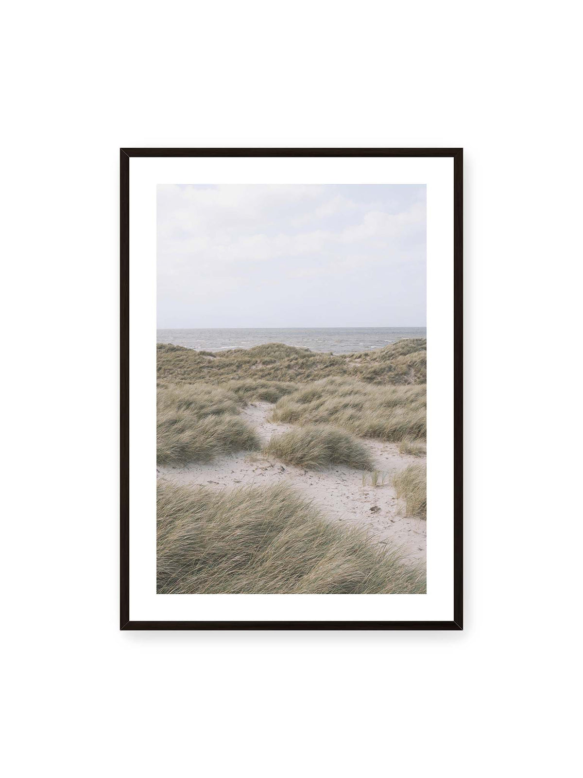 70x100 cm, weißer Galerie-Rand, schwarzer Rahmen – Helles Dünengras und sandige Pfade vor einem ruhigen Meer unter blassem, wolkigem Himmel.
