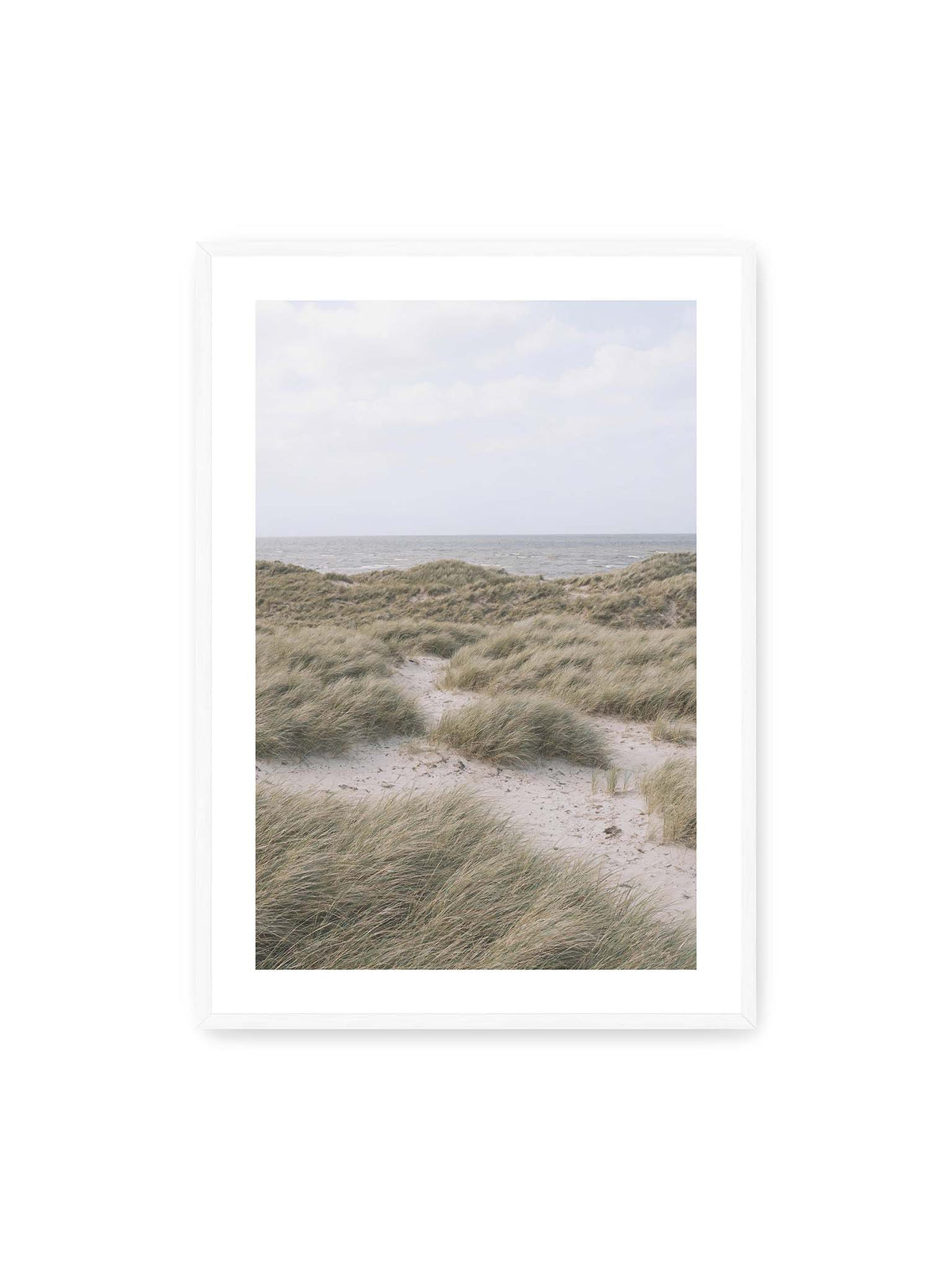 70x100 cm, weißer Galerie-Rand, weißer Rahmen – Helles Dünengras und sandige Pfade vor einem ruhigen Meer unter blassem, wolkigem Himmel.