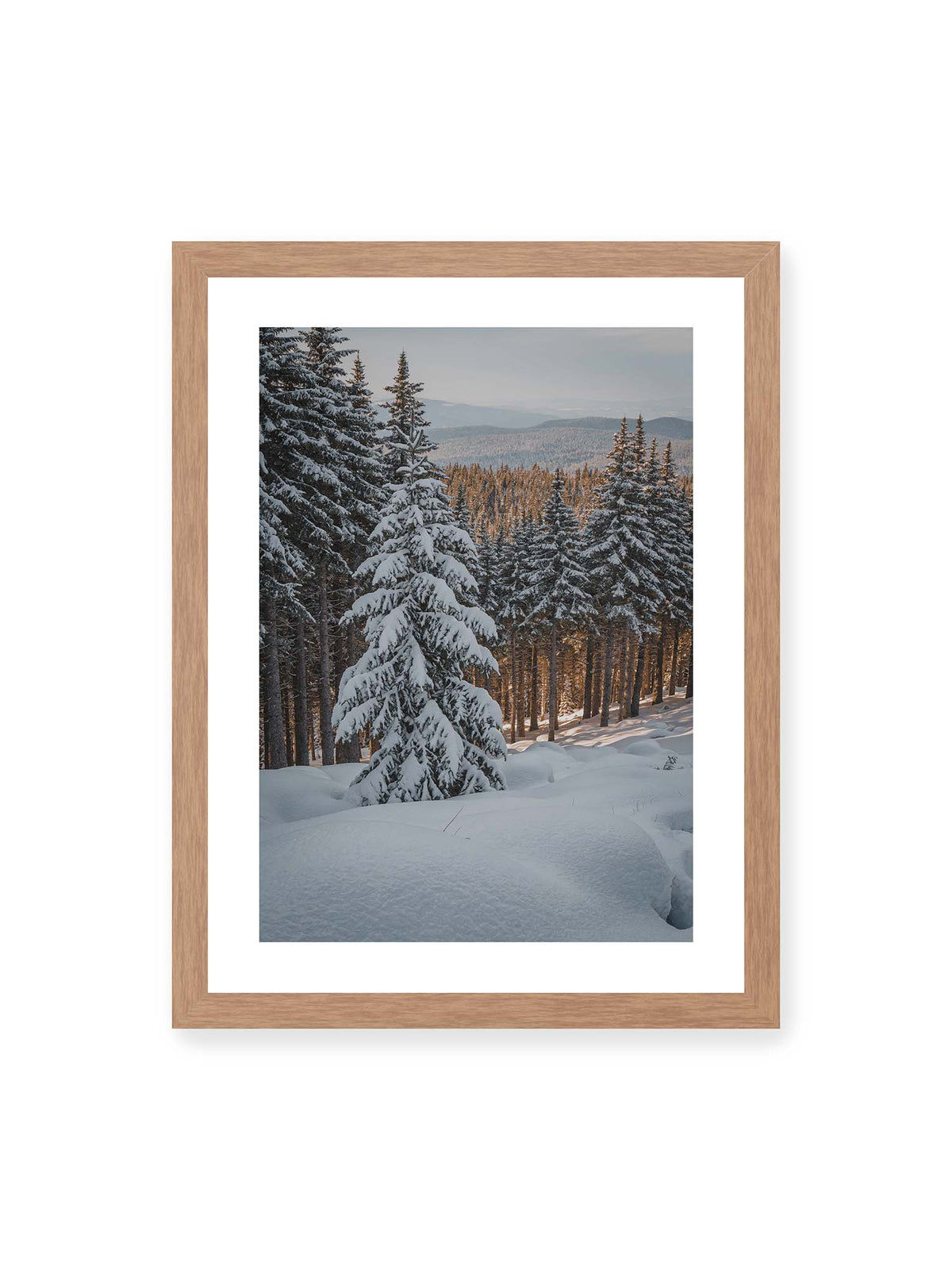 30x40 cm, weißer Galerie-Rand, Eichenrahmen – Verschneite Nadelbäume auf einem Hang mit goldenem Licht zwischen den Stämmen und bewaldeten Höhen in der Ferne.