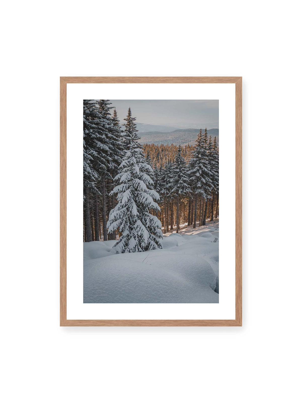 Winter in Gold