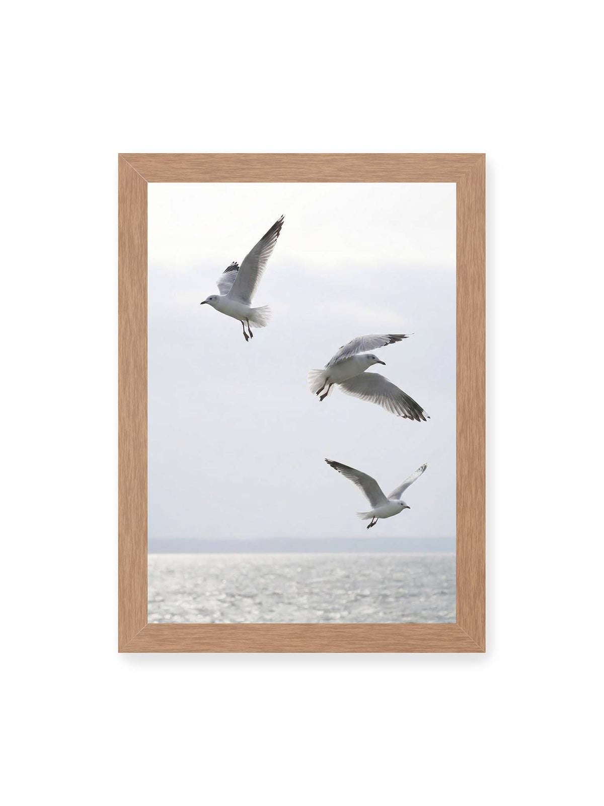 21x30 cm, Eichenrahmen – Drei helle Möwen mit ausgebreiteten Flügeln über einer ruhigen Wasserfläche vor blassem Himmel.