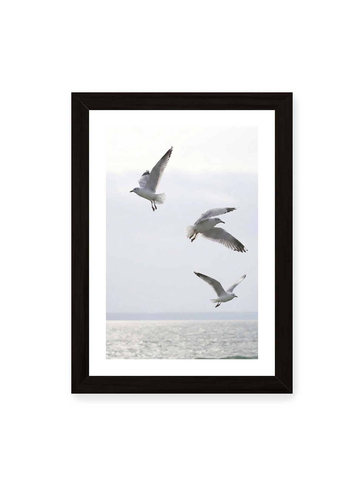 21x30 cm, weißer Galerie-Rand, schwarzer Rahmen – Drei helle Möwen mit ausgebreiteten Flügeln über einer ruhigen Wasserfläche vor blassem Himmel.