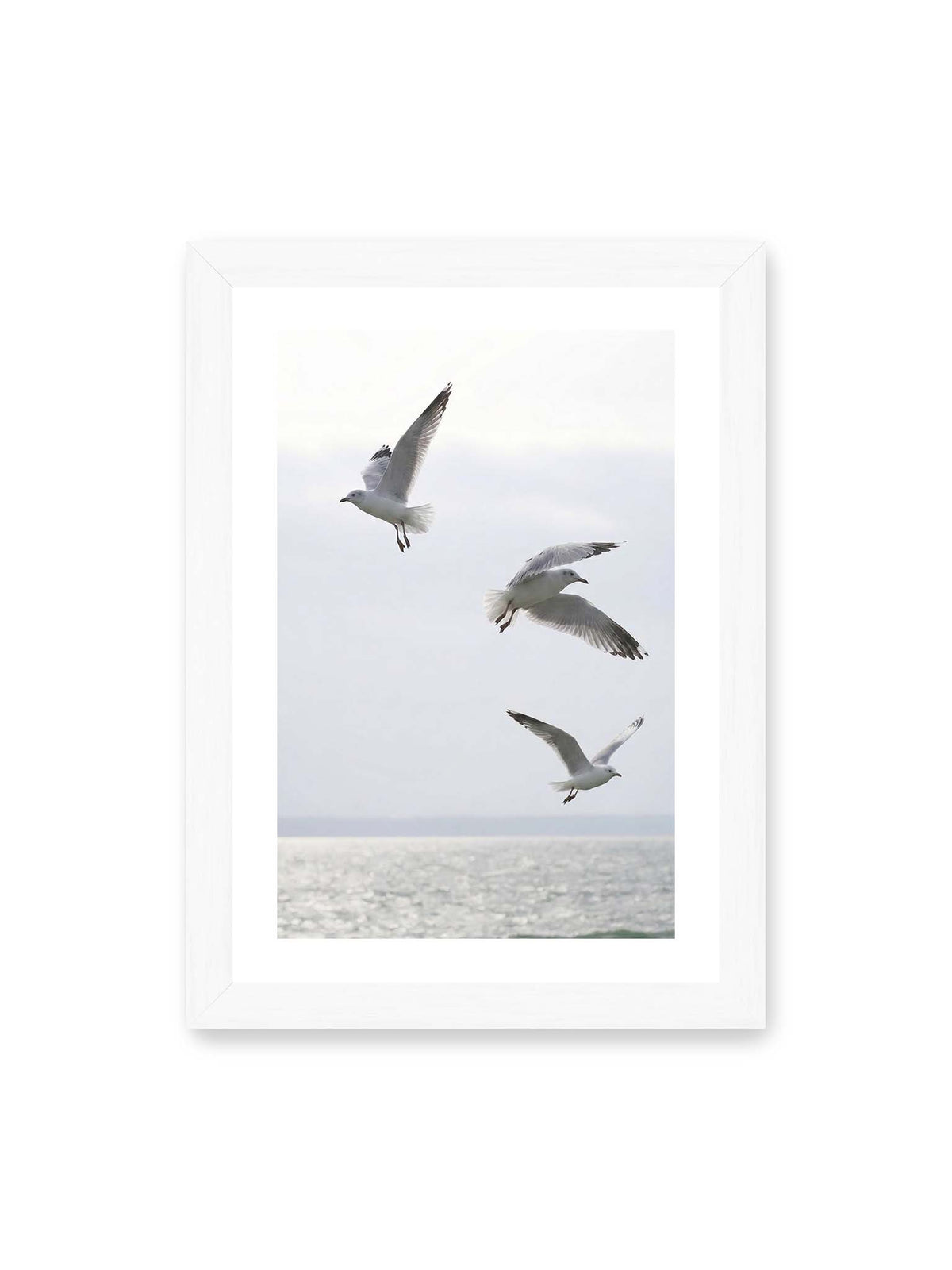 21x30 cm, weißer Galerie-Rand, weißer Rahmen – Drei helle Möwen mit ausgebreiteten Flügeln über einer ruhigen Wasserfläche vor blassem Himmel.