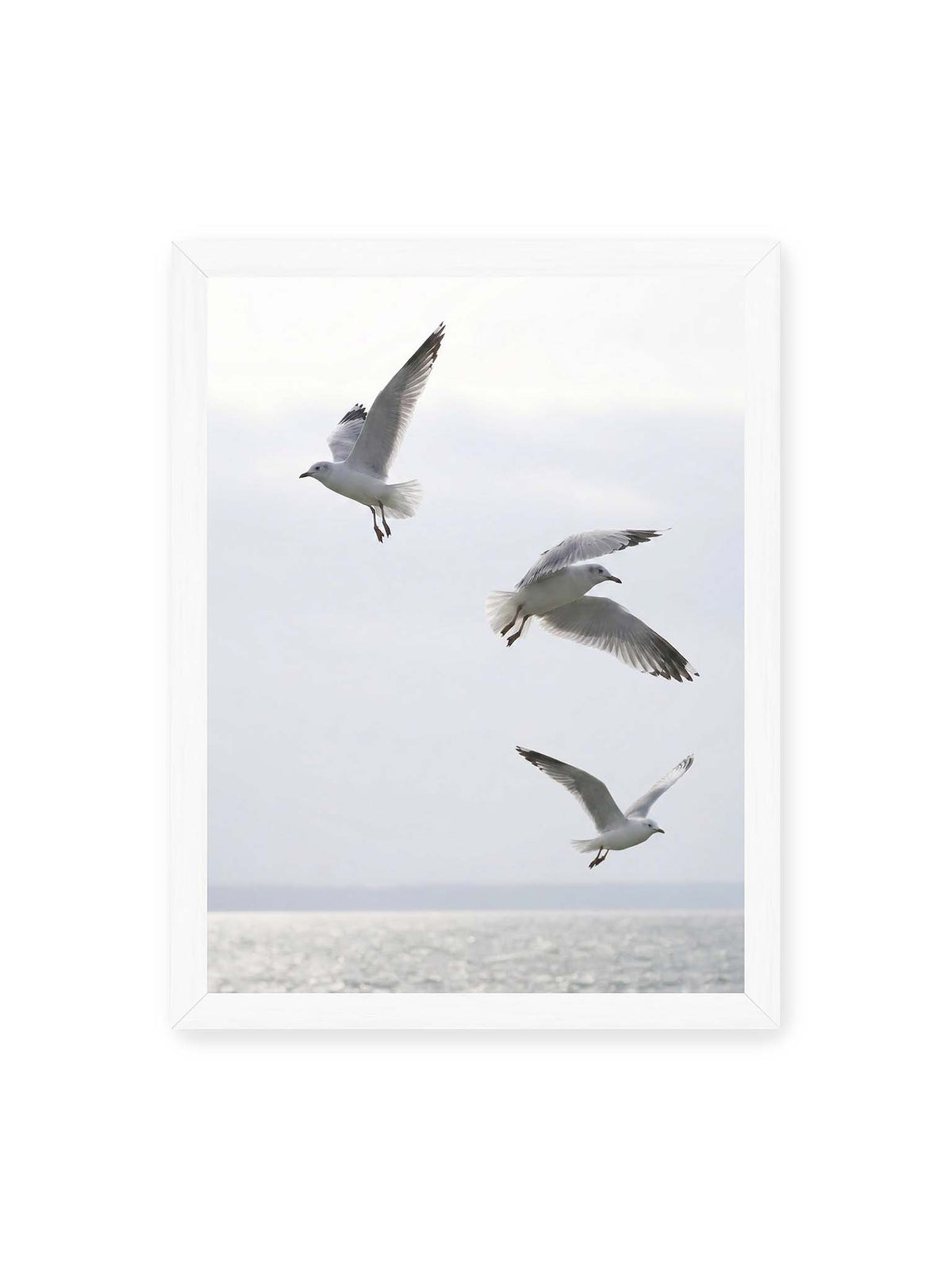 30x40 cm, weißer Rahmen – Drei helle Möwen mit ausgebreiteten Flügeln über einer ruhigen Wasserfläche vor blassem Himmel.