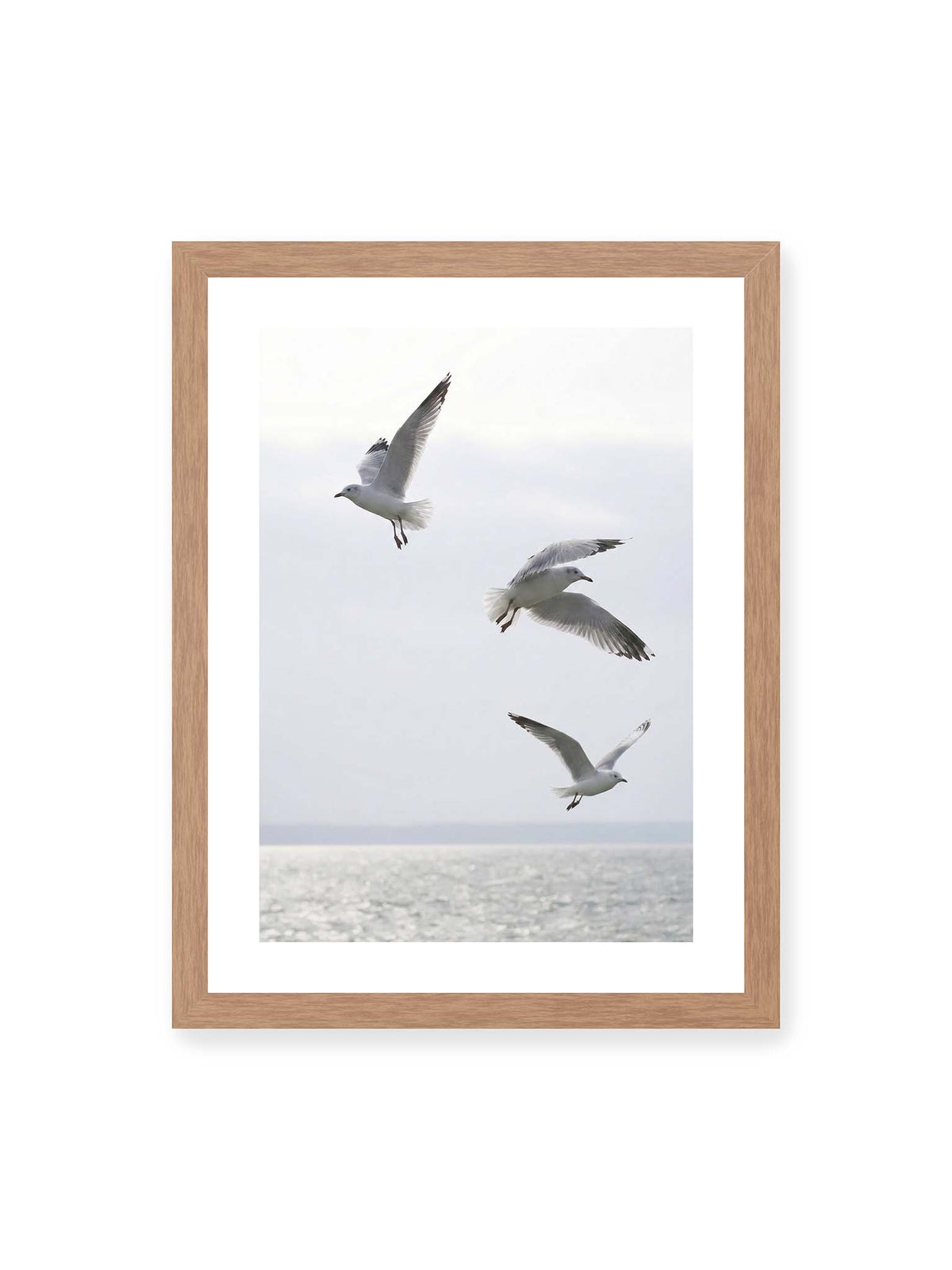 30x40 cm, weißer Galerie-Rand, Eichenrahmen – Drei helle Möwen mit ausgebreiteten Flügeln über einer ruhigen Wasserfläche vor blassem Himmel.