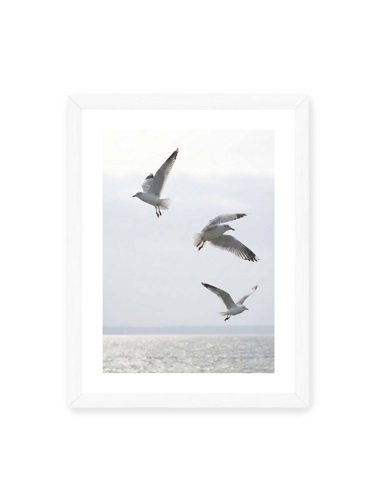 30x40 cm, weißer Galerie-Rand, weißer Rahmen – Drei helle Möwen mit ausgebreiteten Flügeln über einer ruhigen Wasserfläche vor blassem Himmel.