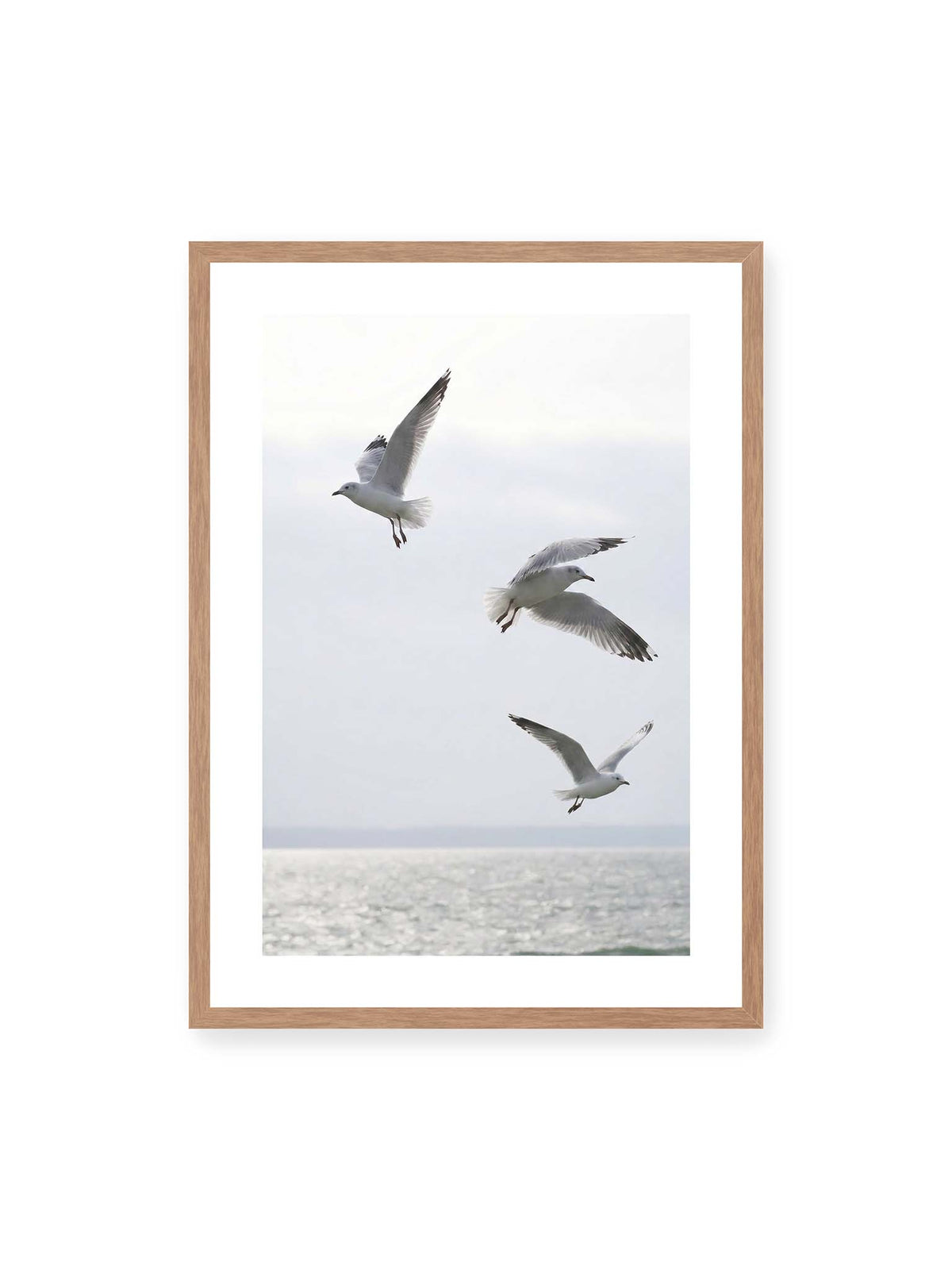 50x70 cm, weißer Galerie-Rand, Eichenrahmen – Drei helle Möwen mit ausgebreiteten Flügeln über einer ruhigen Wasserfläche vor blassem Himmel.