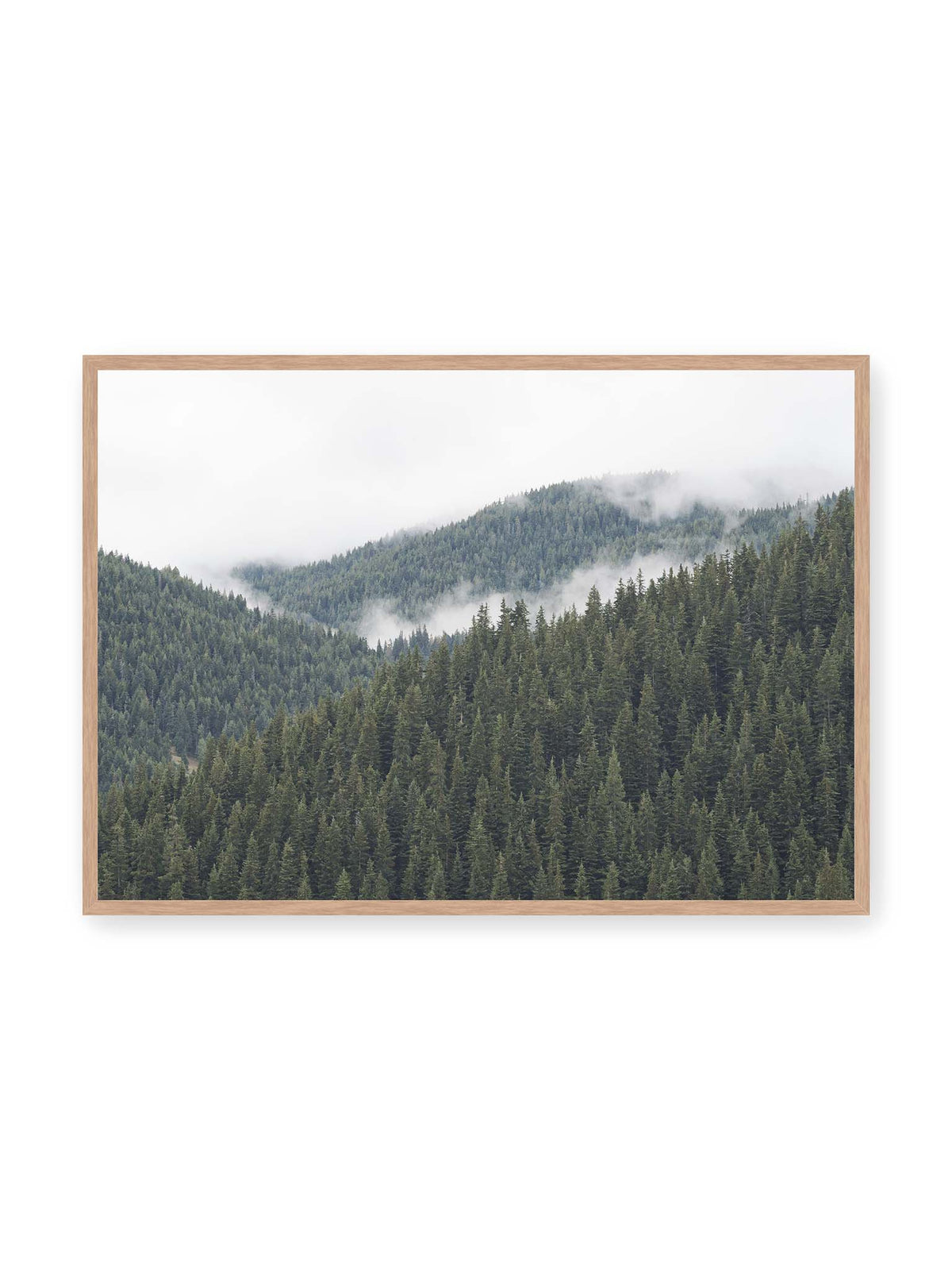 100x70 cm, Eichenrahmen – Dichte Nadelwälder auf gestaffelten Berghängen mit hellen Nebelfeldern zwischen den Bäumen.