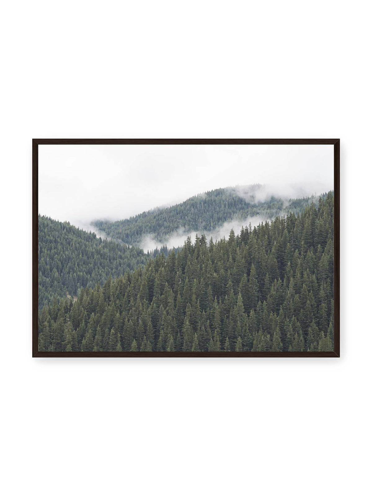 100x70 cm, schwarzer Rahmen – Dichte Nadelwälder auf gestaffelten Berghängen mit hellen Nebelfeldern zwischen den Bäumen.