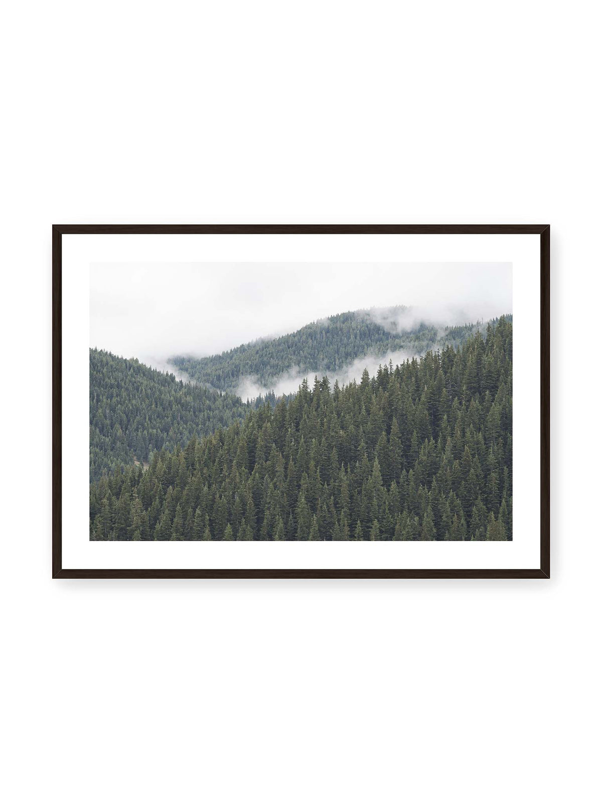 100x70 cm, weißer Galerie-Rand, schwarzer Rahmen – Dichte Nadelwälder auf gestaffelten Berghängen mit hellen Nebelfeldern zwischen den Bäumen.