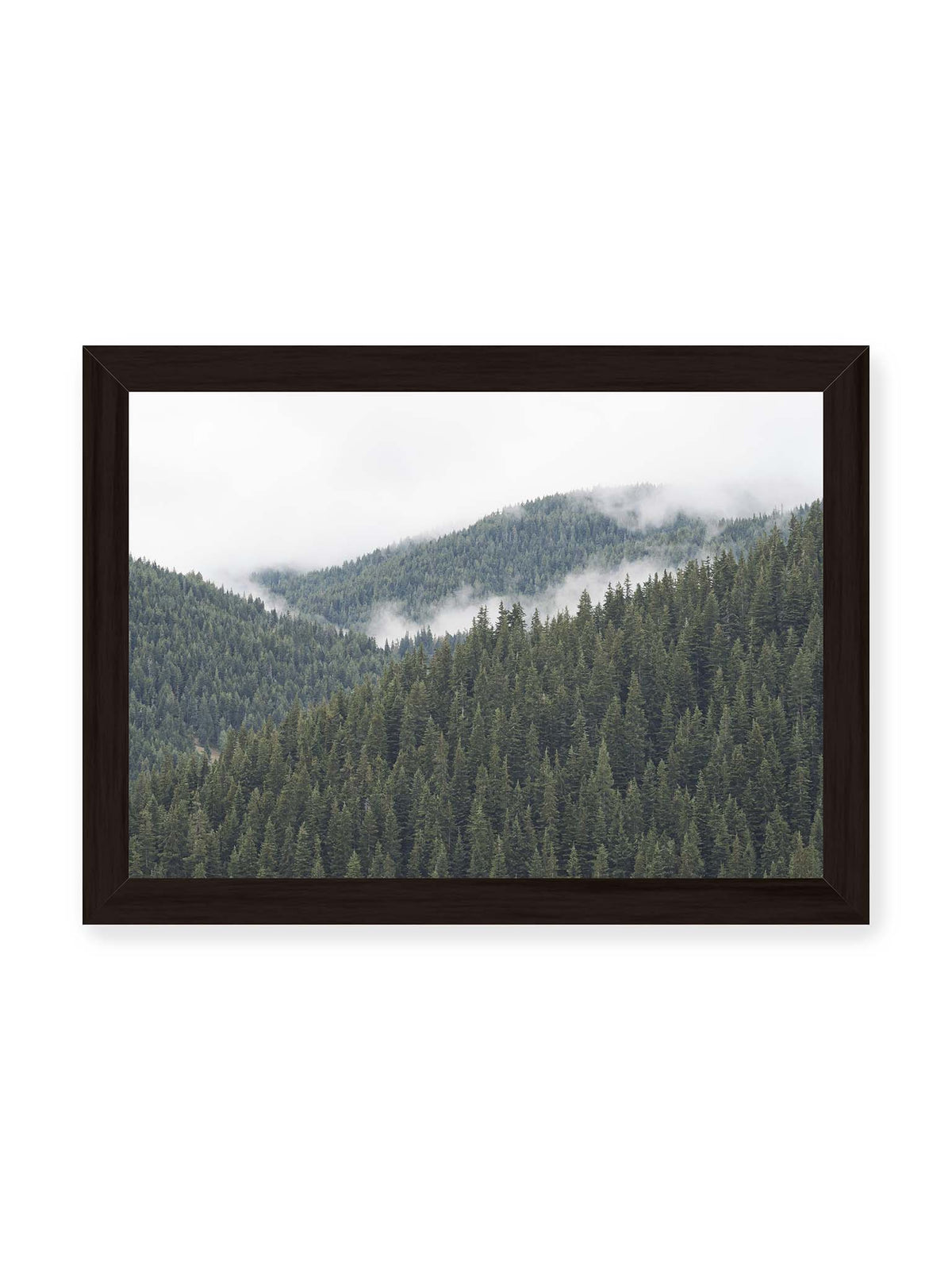30x21 cm, schwarzer Rahmen – Dichte Nadelwälder auf gestaffelten Berghängen mit hellen Nebelfeldern zwischen den Bäumen.