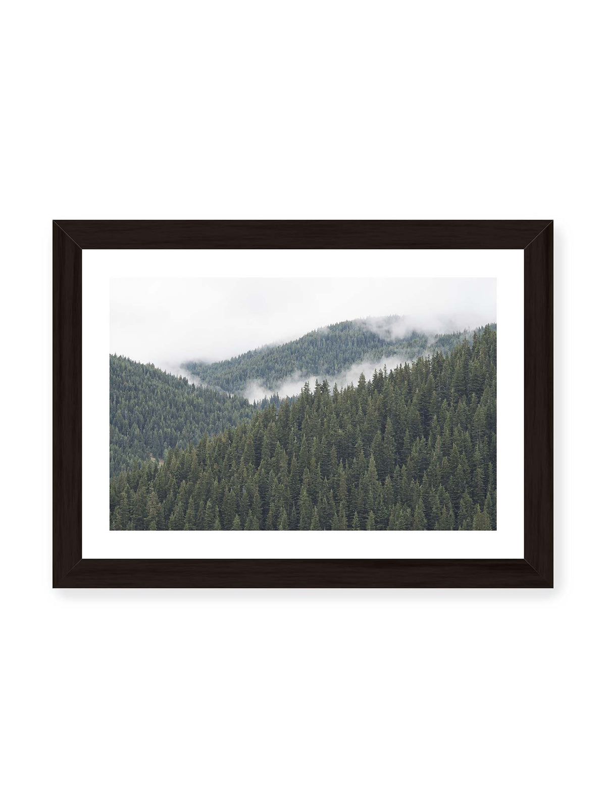 30x21 cm, weißer Galerie-Rand, schwarzer Rahmen – Dichte Nadelwälder auf gestaffelten Berghängen mit hellen Nebelfeldern zwischen den Bäumen.