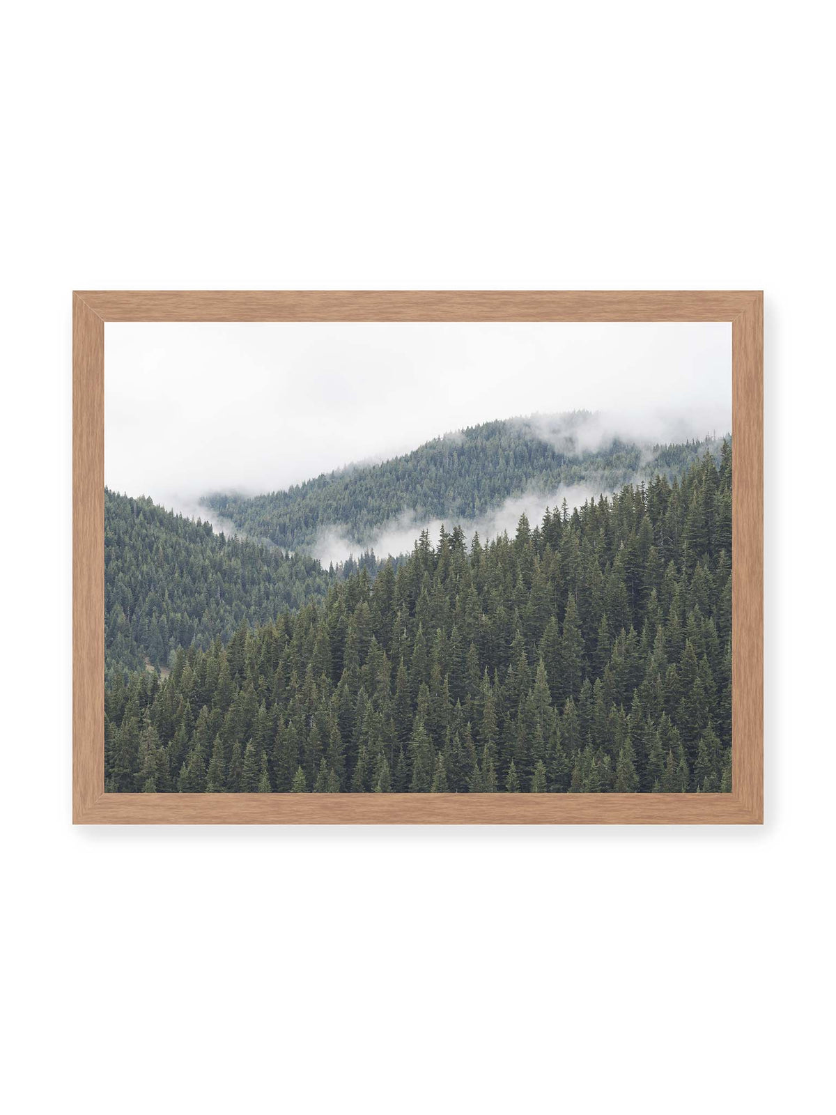 40x30 cm, Eichenrahmen – Dichte Nadelwälder auf gestaffelten Berghängen mit hellen Nebelfeldern zwischen den Bäumen.