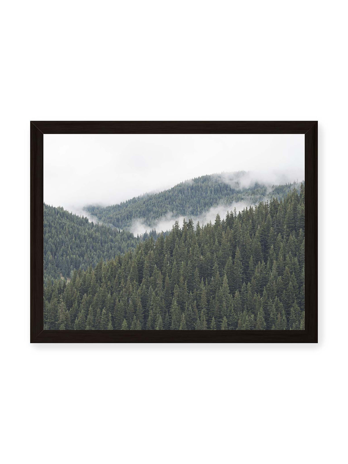 40x30 cm, schwarzer Rahmen – Dichte Nadelwälder auf gestaffelten Berghängen mit hellen Nebelfeldern zwischen den Bäumen.