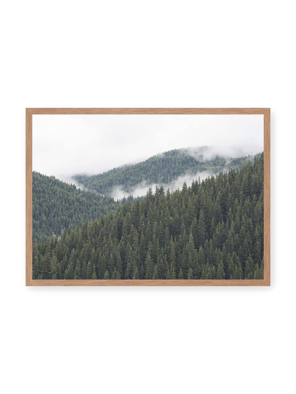 70x50 cm, Eichenrahmen – Dichte Nadelwälder auf gestaffelten Berghängen mit hellen Nebelfeldern zwischen den Bäumen.