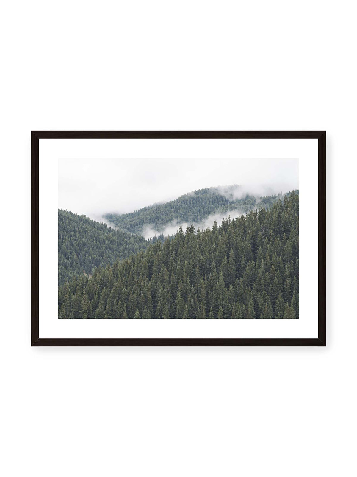 70x50 cm, weißer Galerie-Rand, schwarzer Rahmen – Dichte Nadelwälder auf gestaffelten Berghängen mit hellen Nebelfeldern zwischen den Bäumen.