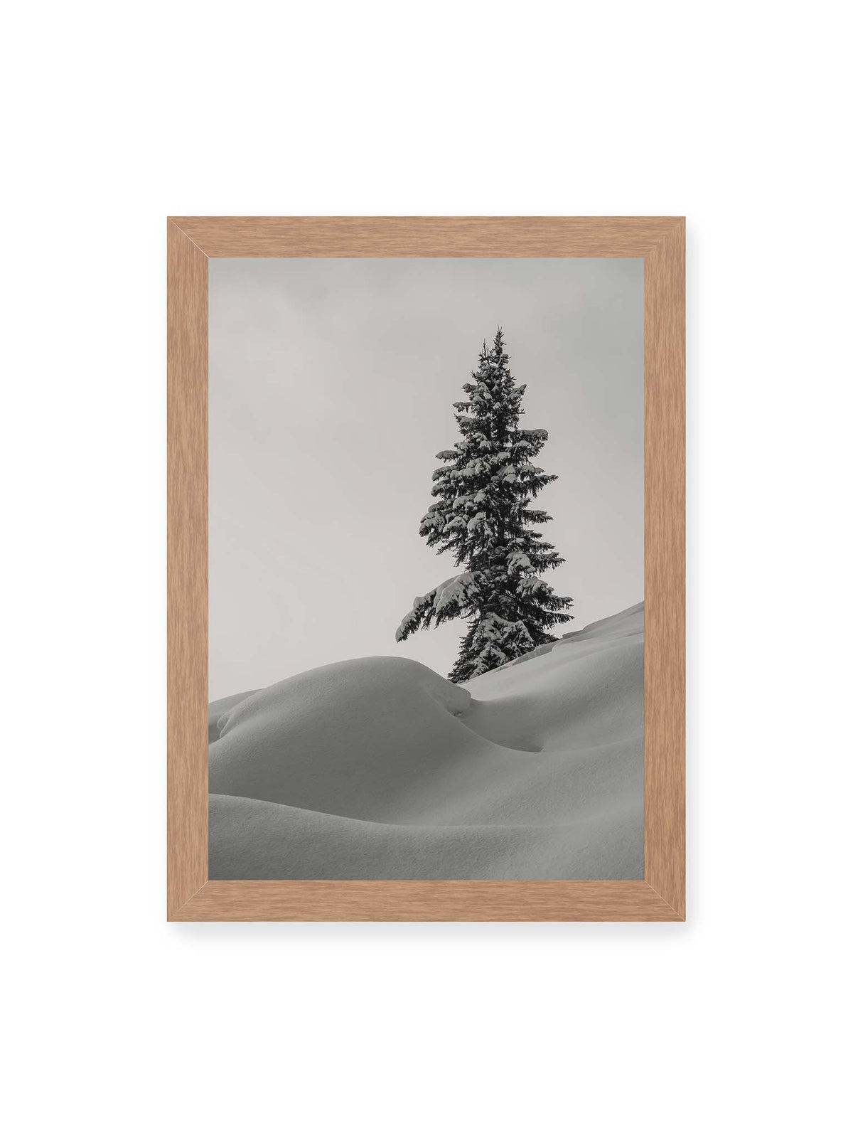 21x30 cm, Eichenrahmen – Einzelne schneebedeckte Tanne über weich geformten Schneeflächen vor einem gleichmäßig grauen Himmel.
