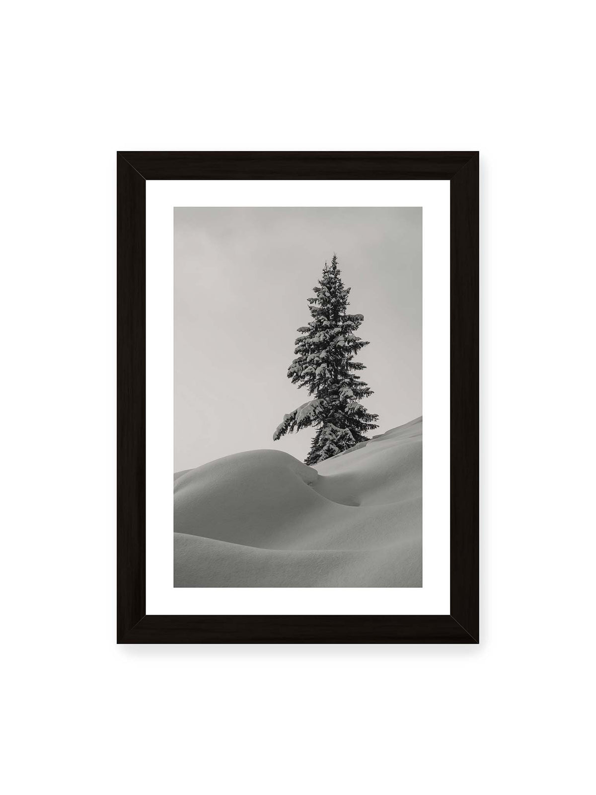 21x30 cm, weißer Galerie-Rand, schwarzer Rahmen – Einzelne schneebedeckte Tanne über weich geformten Schneeflächen vor einem gleichmäßig grauen Himmel.