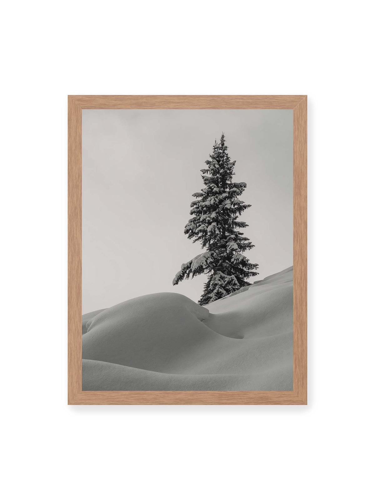30x40 cm, Eichenrahmen – Einzelne schneebedeckte Tanne über weich geformten Schneeflächen vor einem gleichmäßig grauen Himmel.