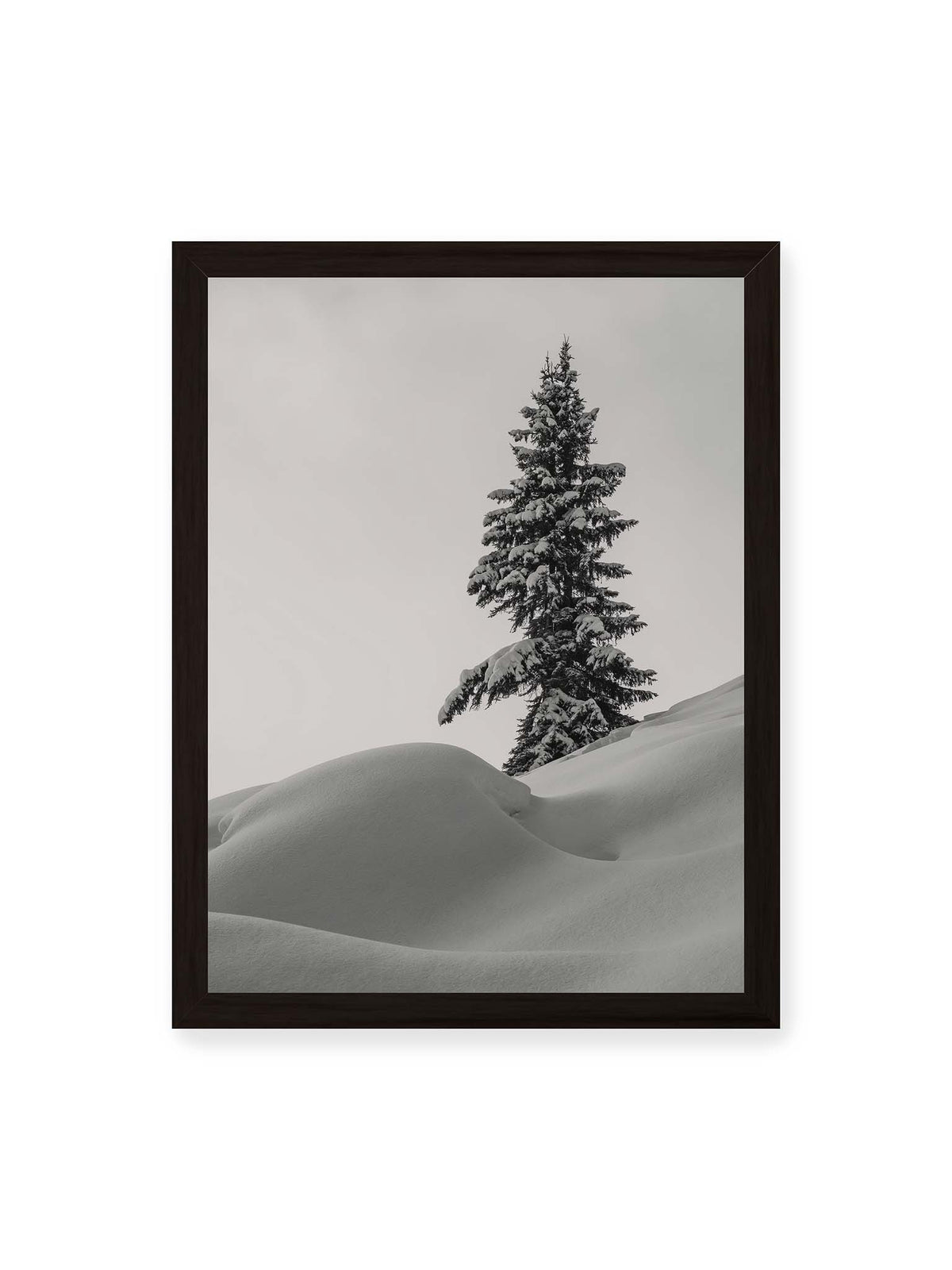 30x40 cm, schwarzer Rahmen – Einzelne schneebedeckte Tanne über weich geformten Schneeflächen vor einem gleichmäßig grauen Himmel.