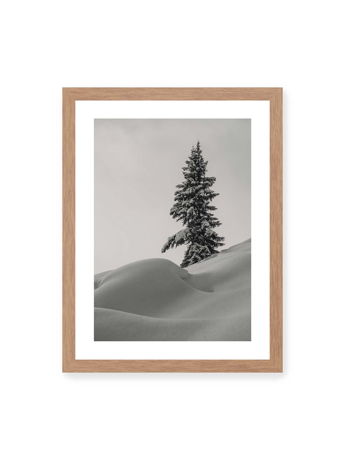 30x40 cm, weißer Galerie-Rand, Eichenrahmen – Einzelne schneebedeckte Tanne über weich geformten Schneeflächen vor einem gleichmäßig grauen Himmel.