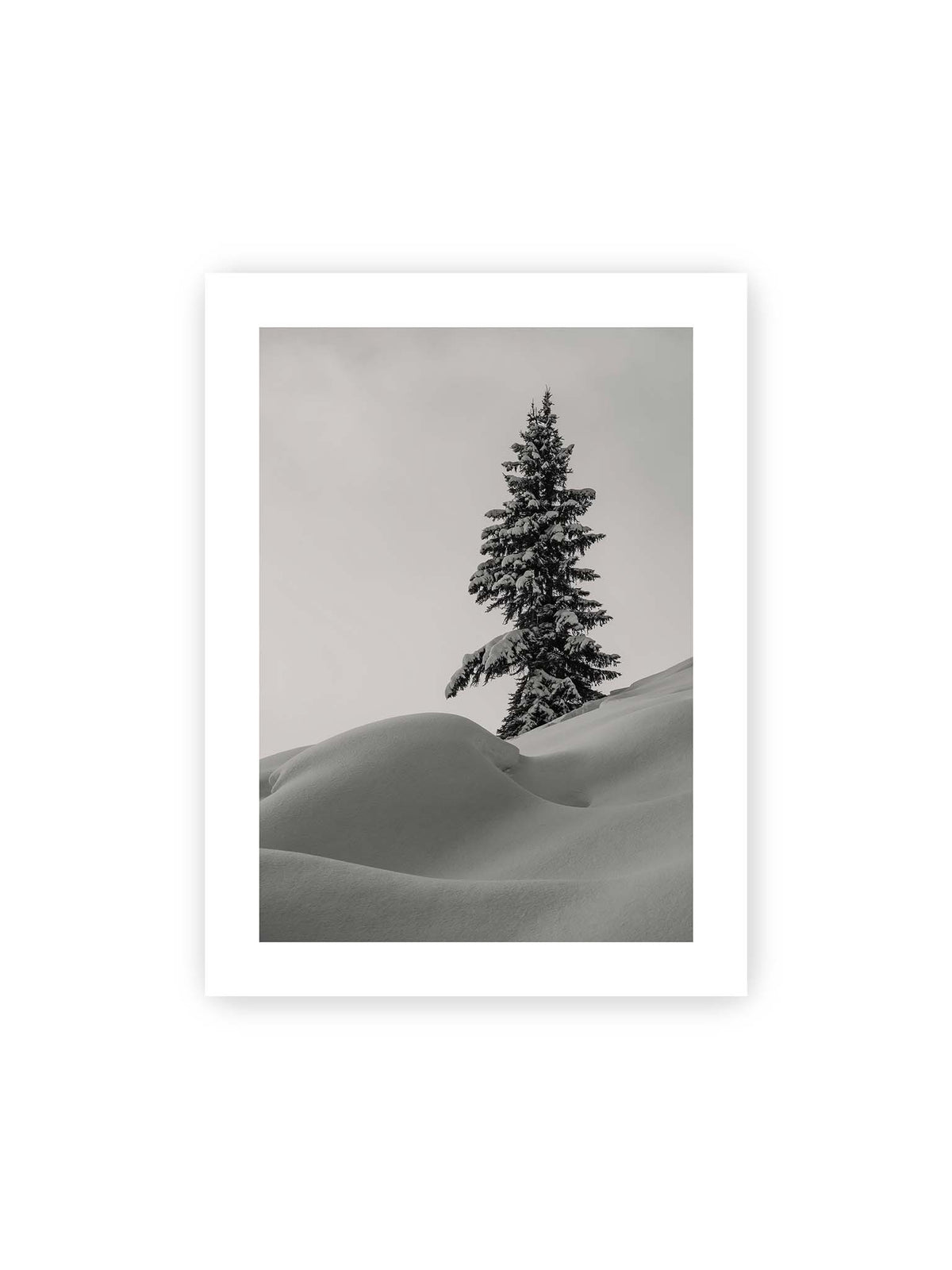 30x40 cm, weißer Galerie-Rand – Einzelne schneebedeckte Tanne über weich geformten Schneeflächen vor einem gleichmäßig grauen Himmel.