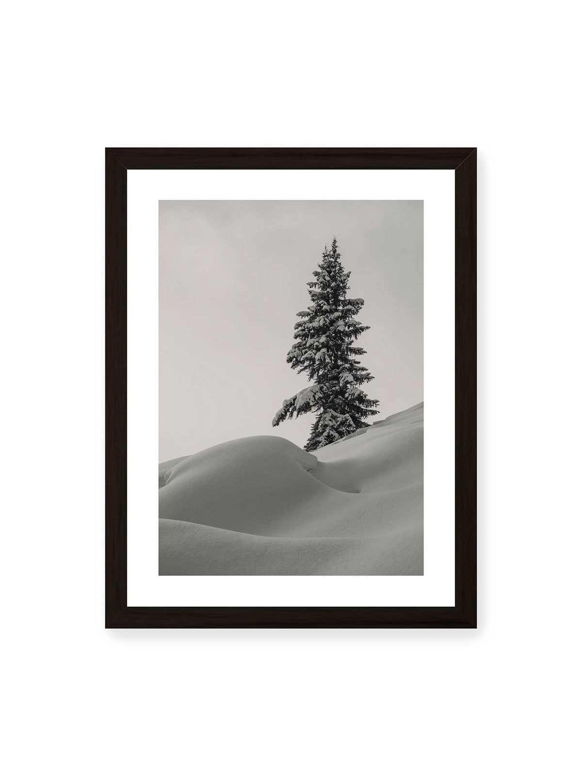 30x40 cm, weißer Galerie-Rand, schwarzer Rahmen – Einzelne schneebedeckte Tanne über weich geformten Schneeflächen vor einem gleichmäßig grauen Himmel.