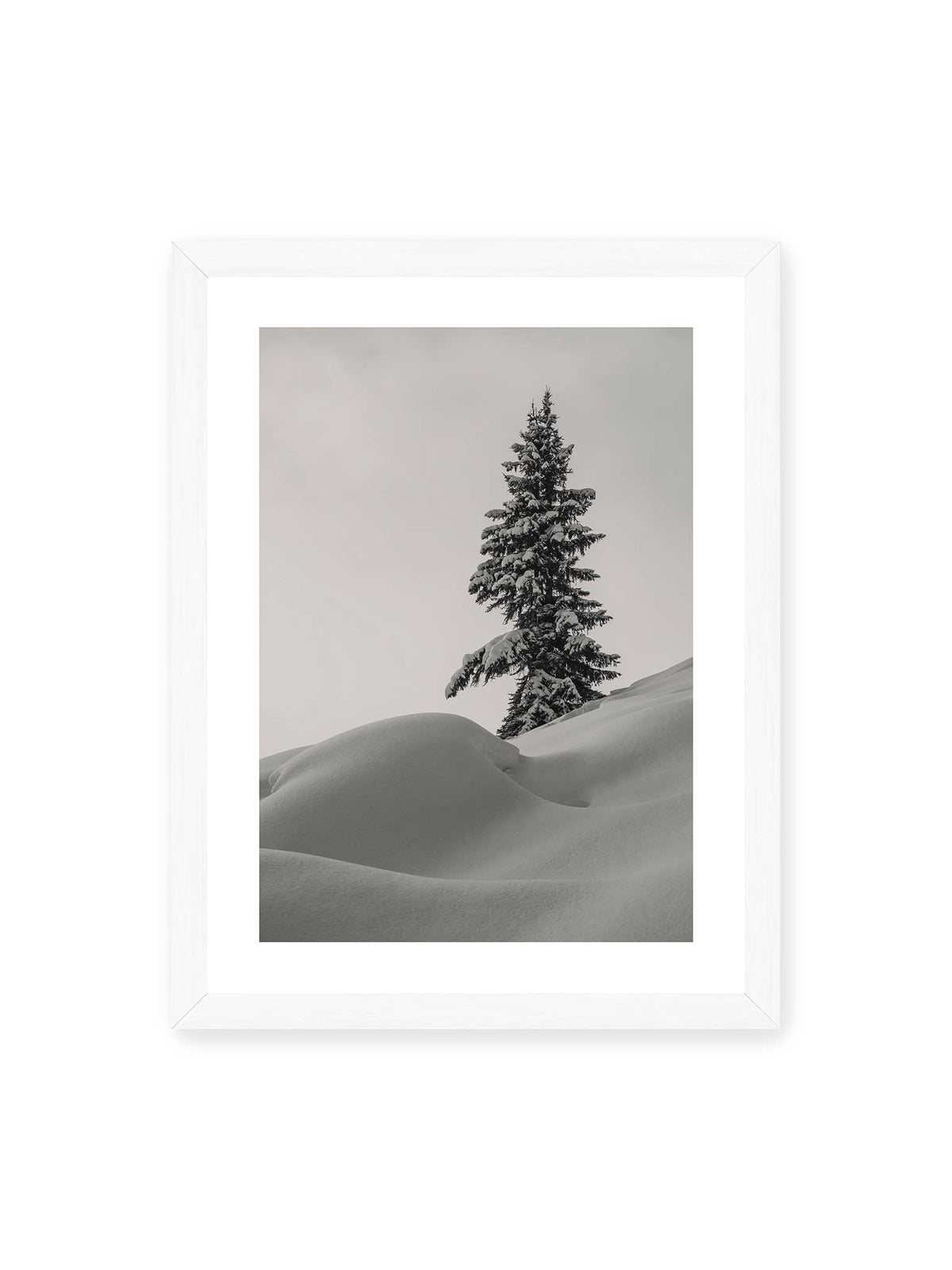 30x40 cm, weißer Galerie-Rand, weißer Rahmen – Einzelne schneebedeckte Tanne über weich geformten Schneeflächen vor einem gleichmäßig grauen Himmel.