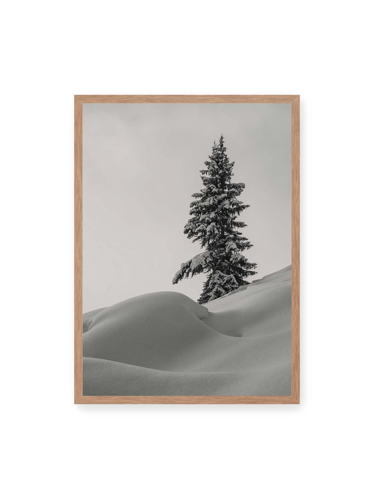 50x70 cm, Eichenrahmen – Einzelne schneebedeckte Tanne über weich geformten Schneeflächen vor einem gleichmäßig grauen Himmel.