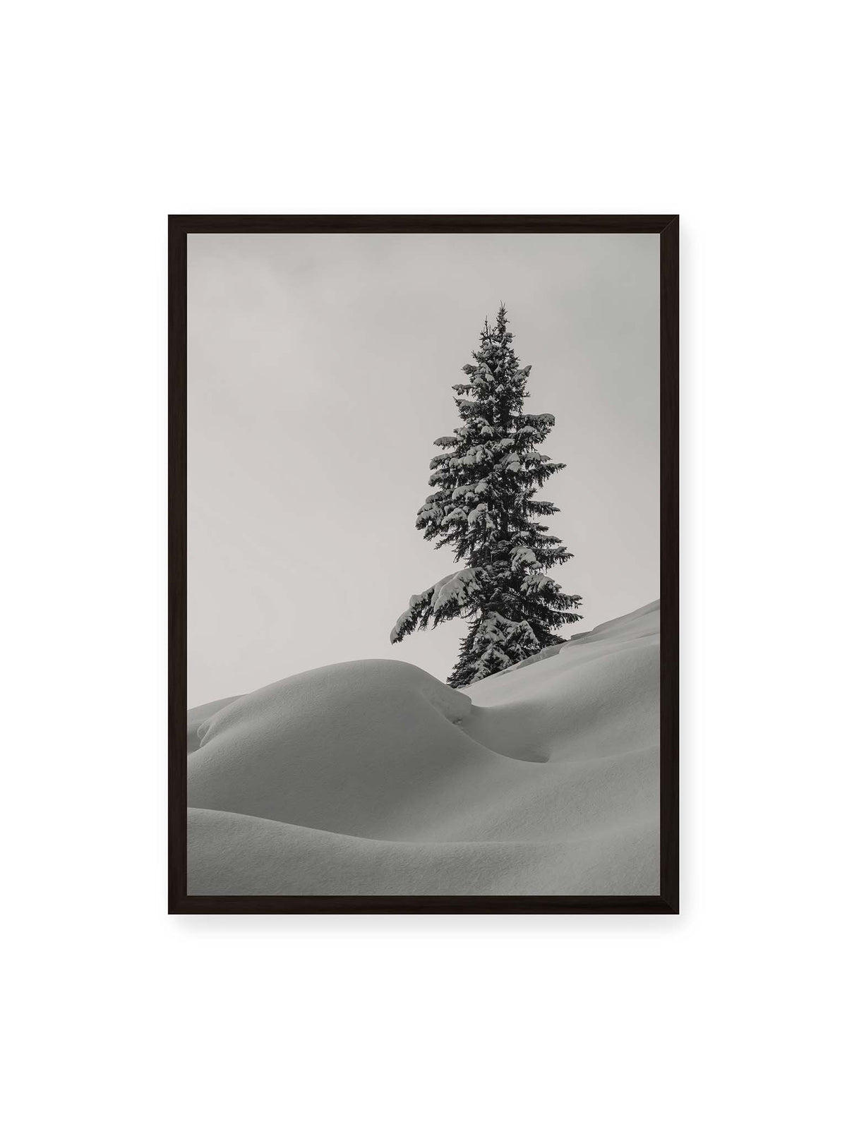 50x70 cm, schwarzer Rahmen – Einzelne schneebedeckte Tanne über weich geformten Schneeflächen vor einem gleichmäßig grauen Himmel.