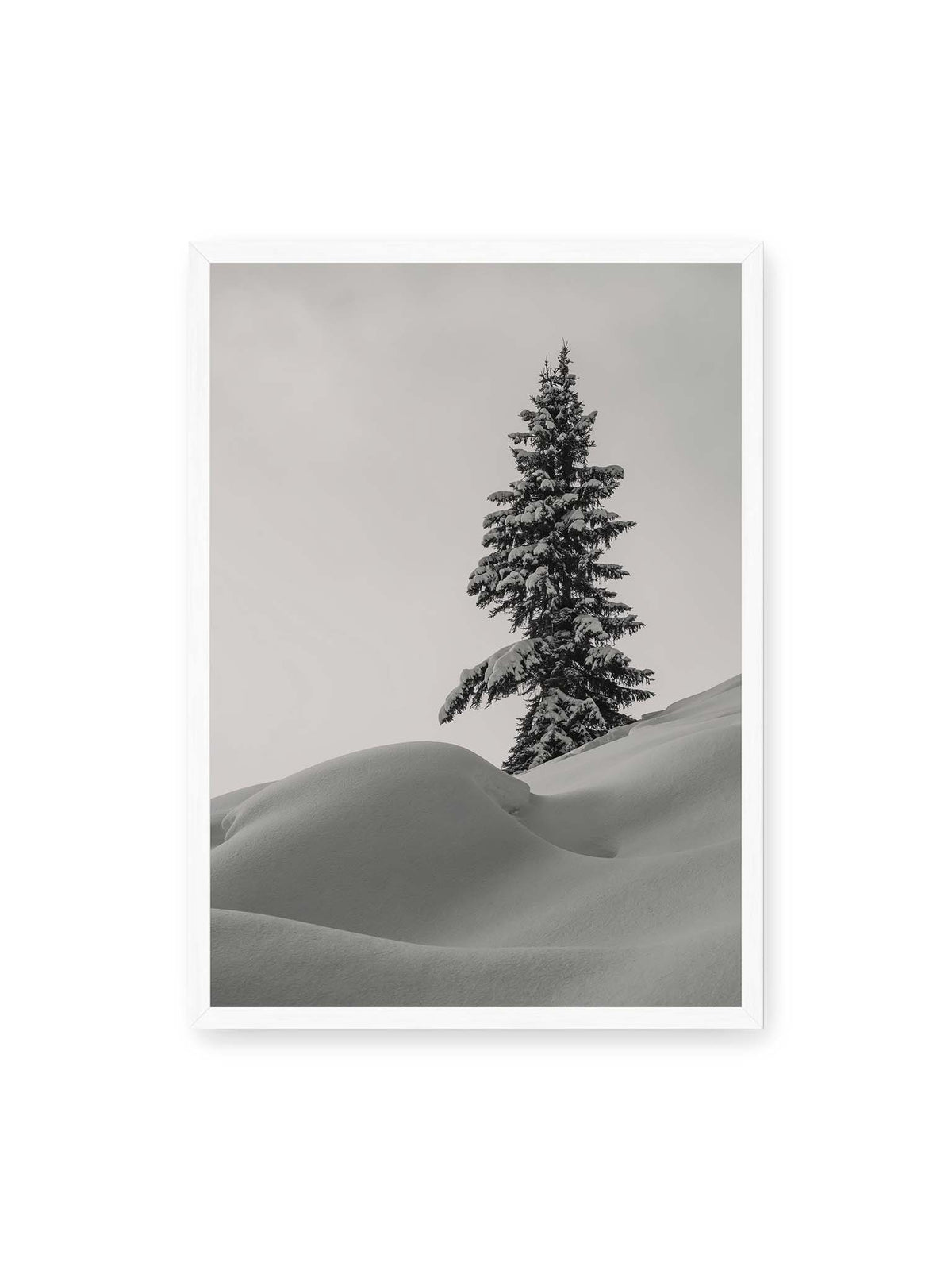50x70 cm, weißer Rahmen – Einzelne schneebedeckte Tanne über weich geformten Schneeflächen vor einem gleichmäßig grauen Himmel.