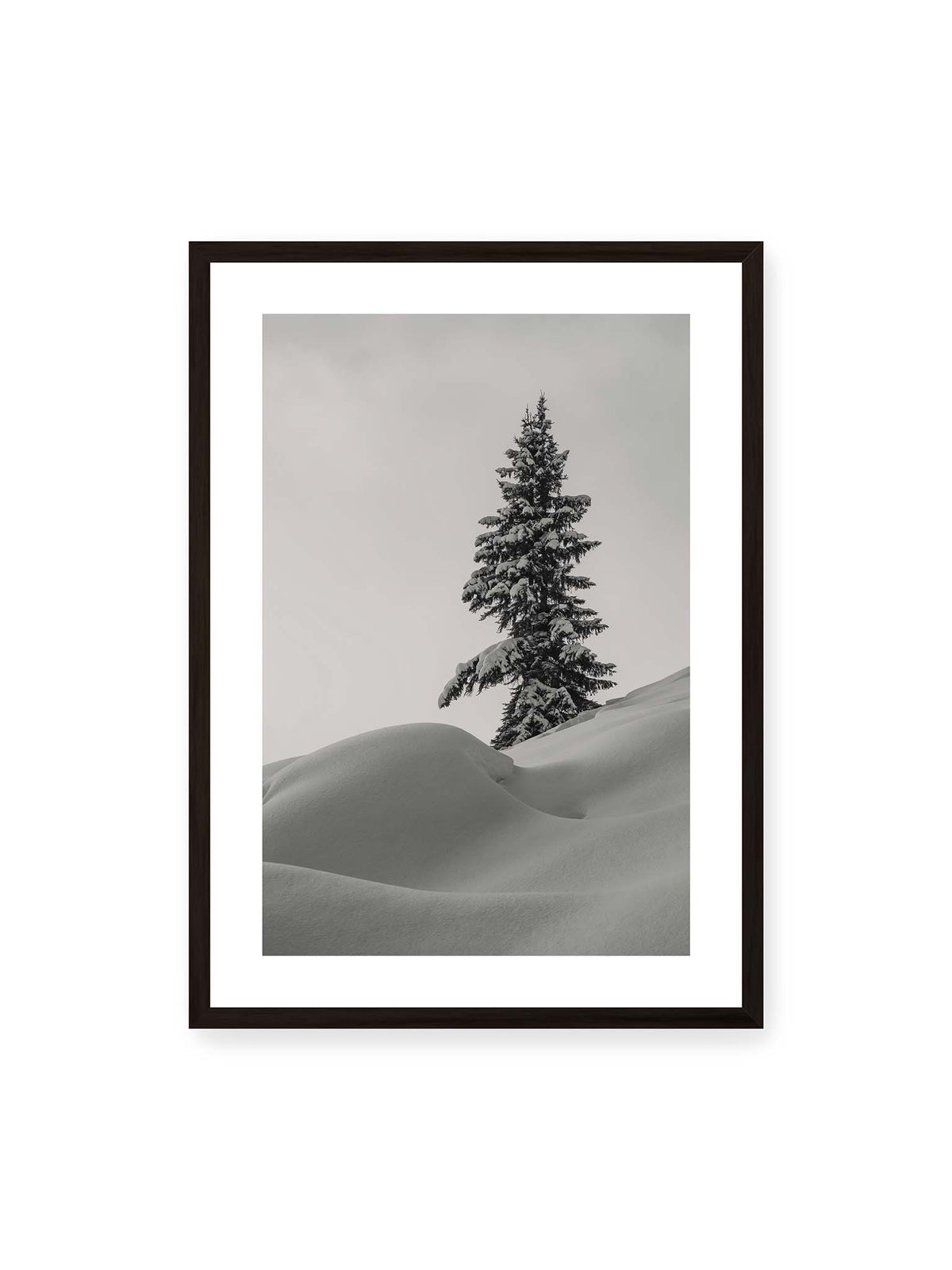 50x70 cm, weißer Galerie-Rand, schwarzer Rahmen – Einzelne schneebedeckte Tanne über weich geformten Schneeflächen vor einem gleichmäßig grauen Himmel.