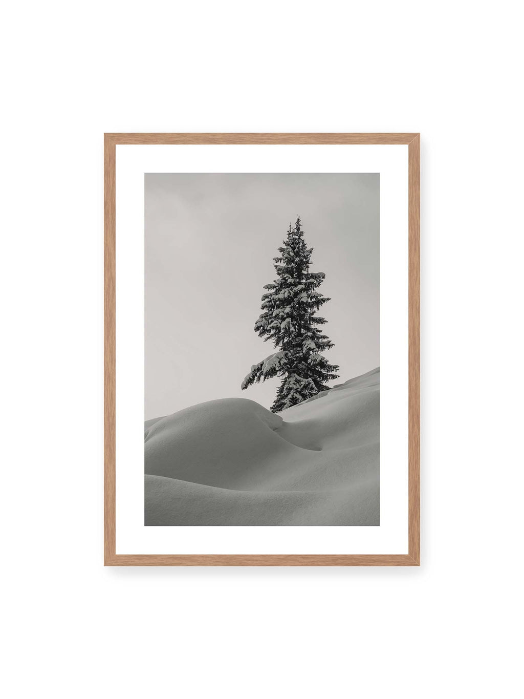 Alone in White