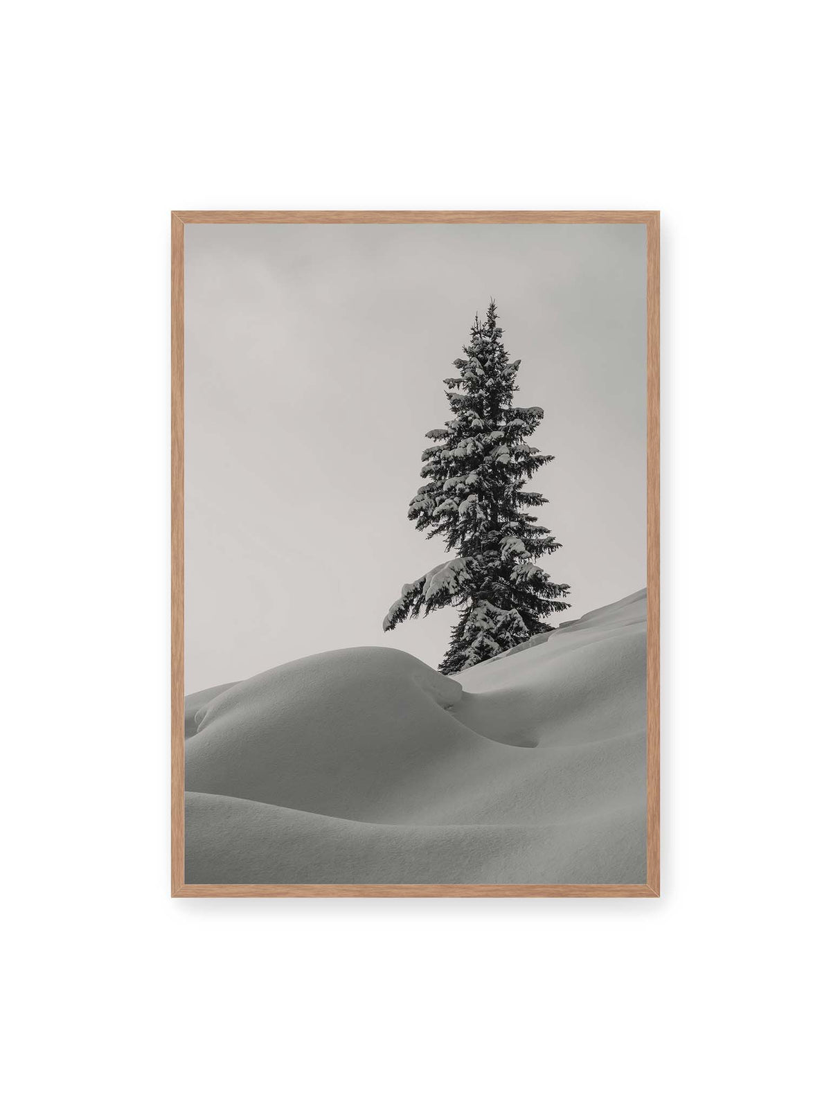 70x100 cm, Eichenrahmen – Einzelne schneebedeckte Tanne über weich geformten Schneeflächen vor einem gleichmäßig grauen Himmel.