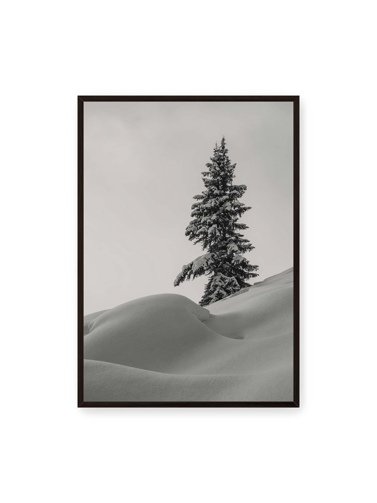 70x100 cm, schwarzer Rahmen – Einzelne schneebedeckte Tanne über weich geformten Schneeflächen vor einem gleichmäßig grauen Himmel.