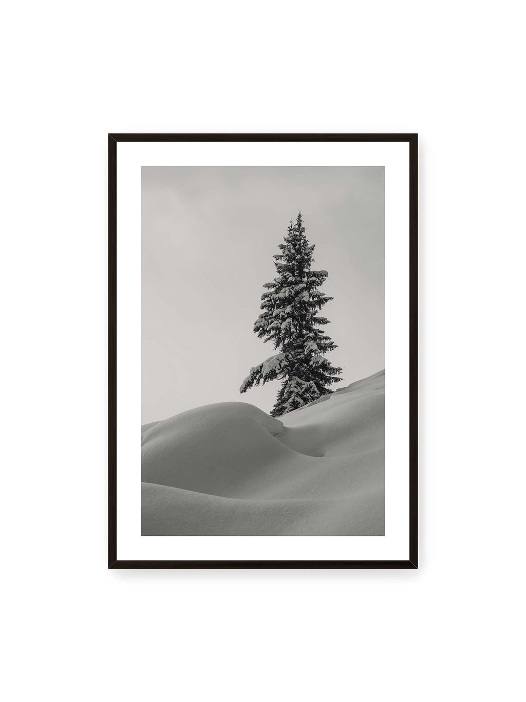 70x100 cm, weißer Galerie-Rand, schwarzer Rahmen – Einzelne schneebedeckte Tanne über weich geformten Schneeflächen vor einem gleichmäßig grauen Himmel.