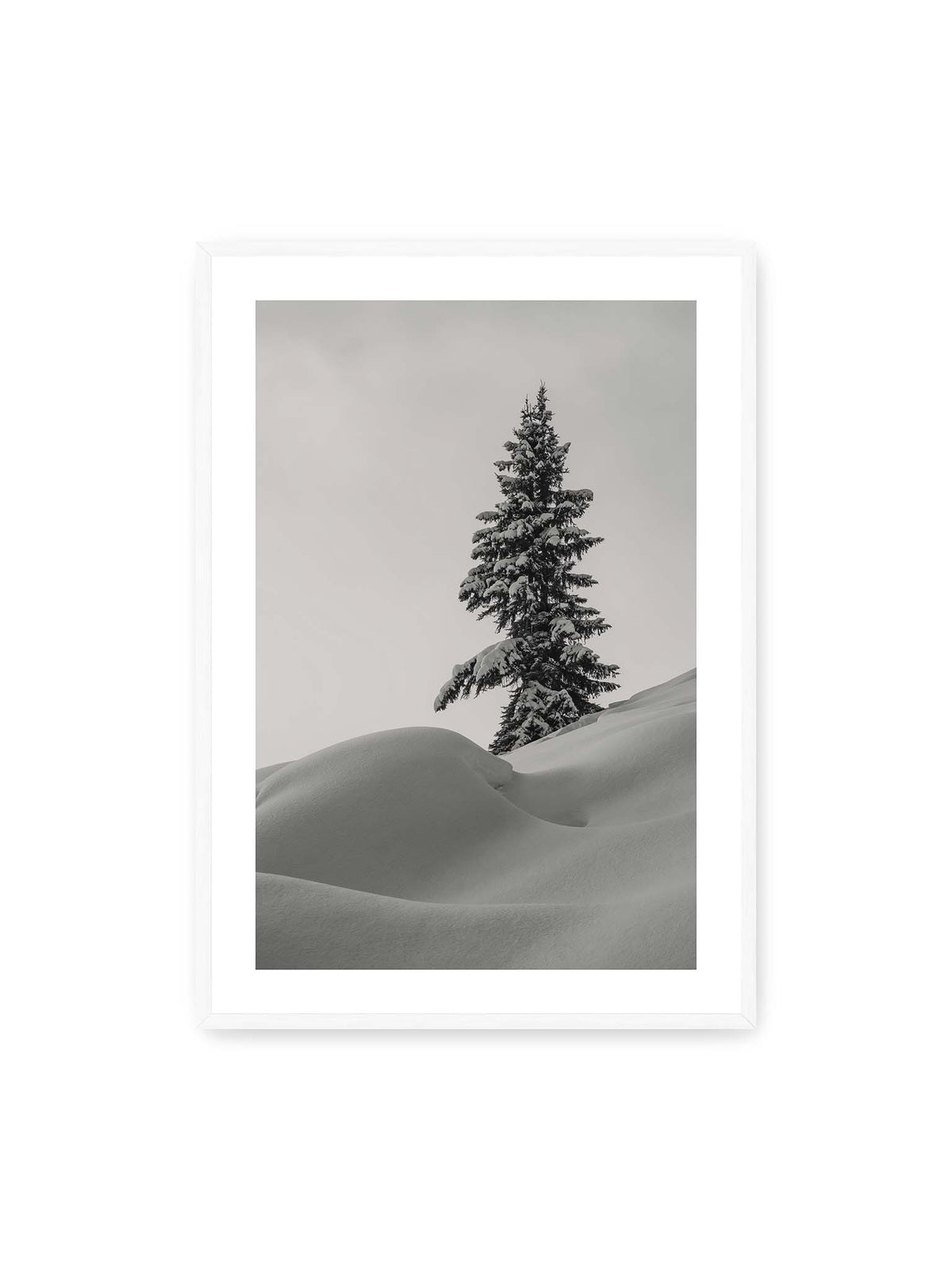 70x100 cm, weißer Galerie-Rand, weißer Rahmen – Einzelne schneebedeckte Tanne über weich geformten Schneeflächen vor einem gleichmäßig grauen Himmel.