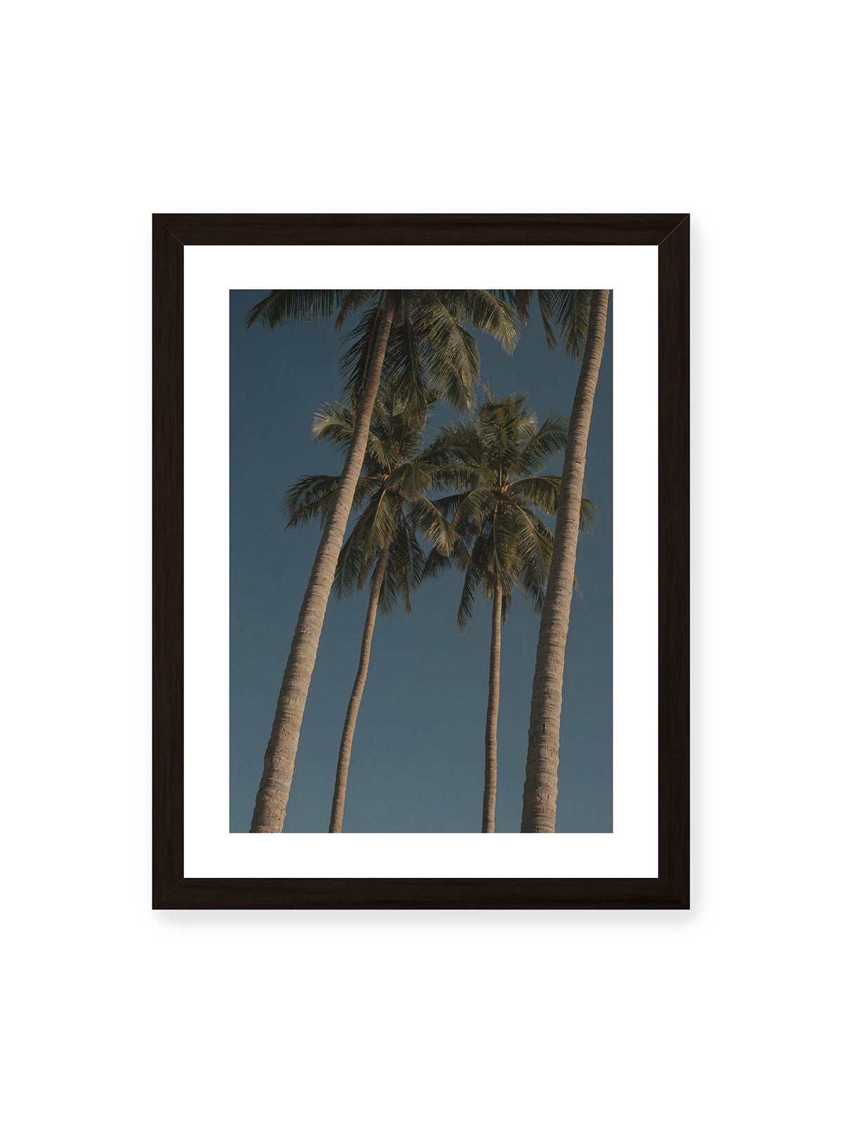 30x40 cm, weißer Galerie-Rand, schwarzer Rahmen – Hohe Palmen mit schlanken Stämmen und dunklen Palmwedeln vor einem tiefblauen Himmel.
