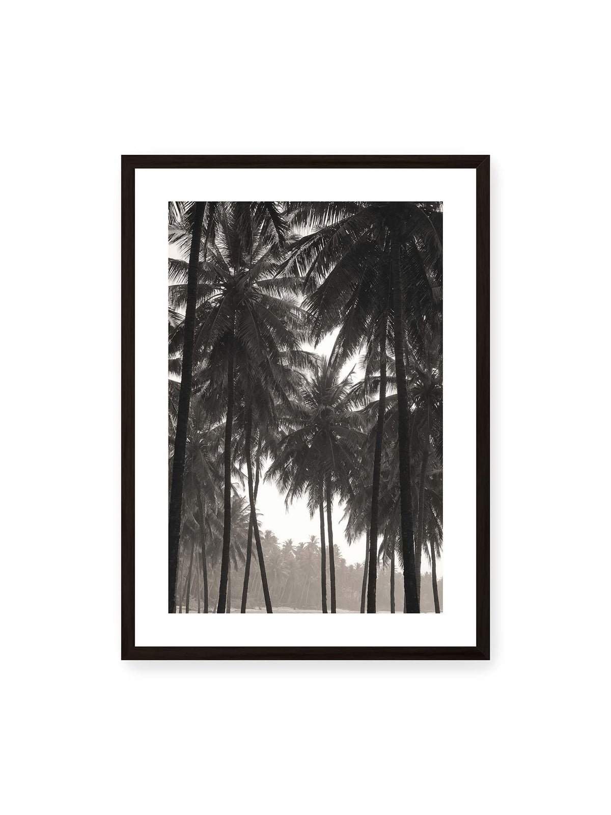 50x70 cm, weißer Galerie-Rand, schwarzer Rahmen – Hohe dunkle Palmen mit dicht überlagerten Wedeln vor hellem Himmel und weich verblassender Vegetation.