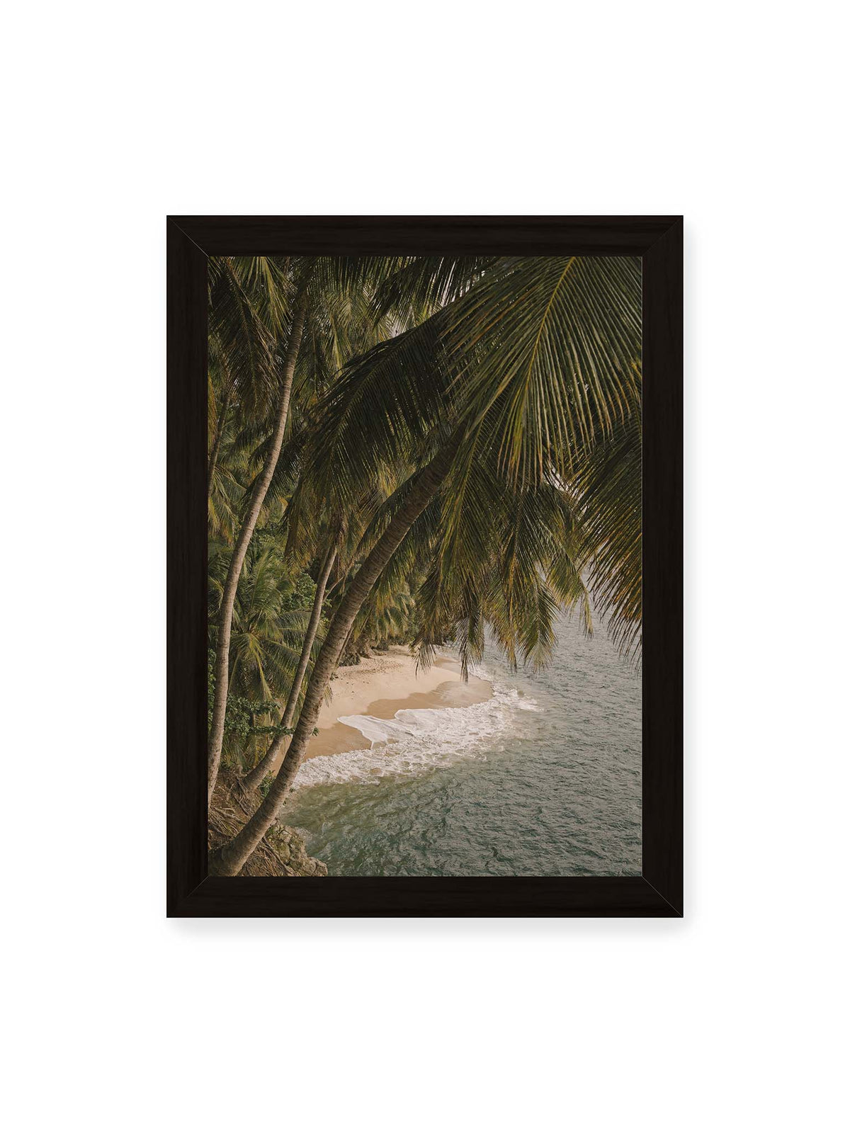 21x30 cm, schwarzer Rahmen – Palmen über einer schmalen Sandküste mit sanften Wellen und grünlichem Meer.