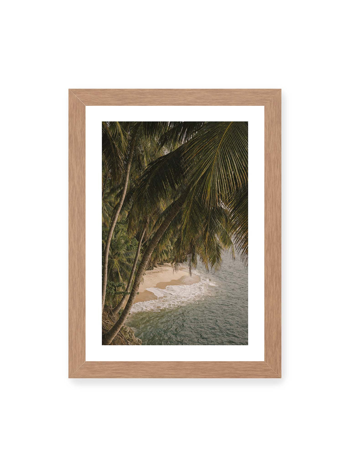 21x30 cm, weißer Galerie-Rand, Eichenrahmen – Palmen über einer schmalen Sandküste mit sanften Wellen und grünlichem Meer.