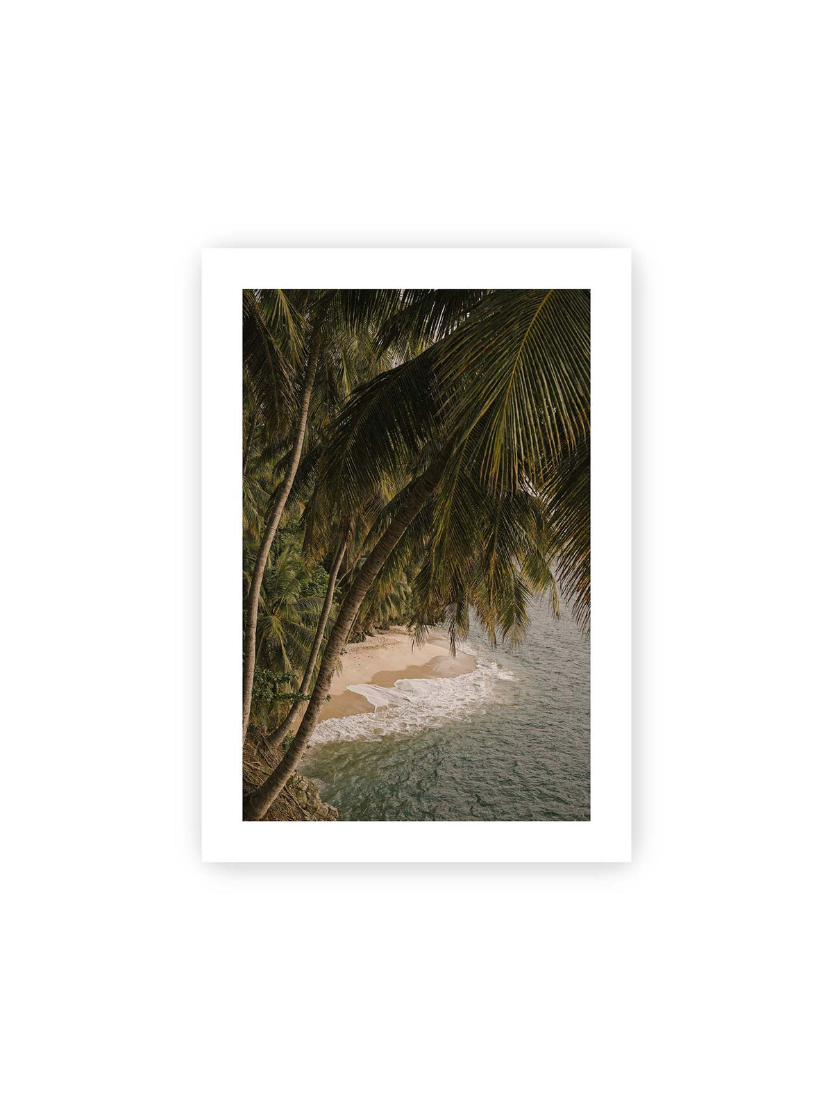 21x30 cm, weißer Galerie-Rand – Palmen über einer schmalen Sandküste mit sanften Wellen und grünlichem Meer.