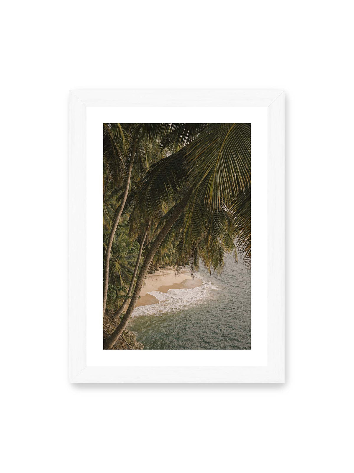 21x30 cm, weißer Galerie-Rand, weißer Rahmen – Palmen über einer schmalen Sandküste mit sanften Wellen und grünlichem Meer.