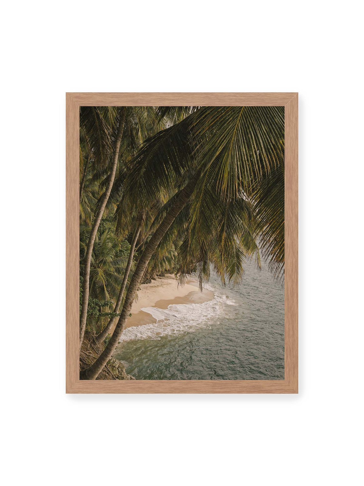30x40 cm, Eichenrahmen – Palmen über einer schmalen Sandküste mit sanften Wellen und grünlichem Meer.