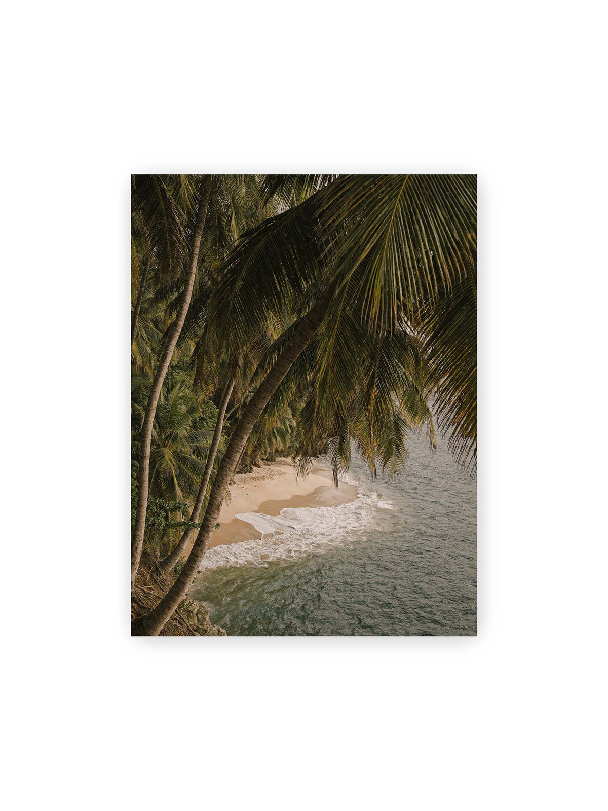 30x40 cm – Palmen über einer schmalen Sandküste mit sanften Wellen und grünlichem Meer.